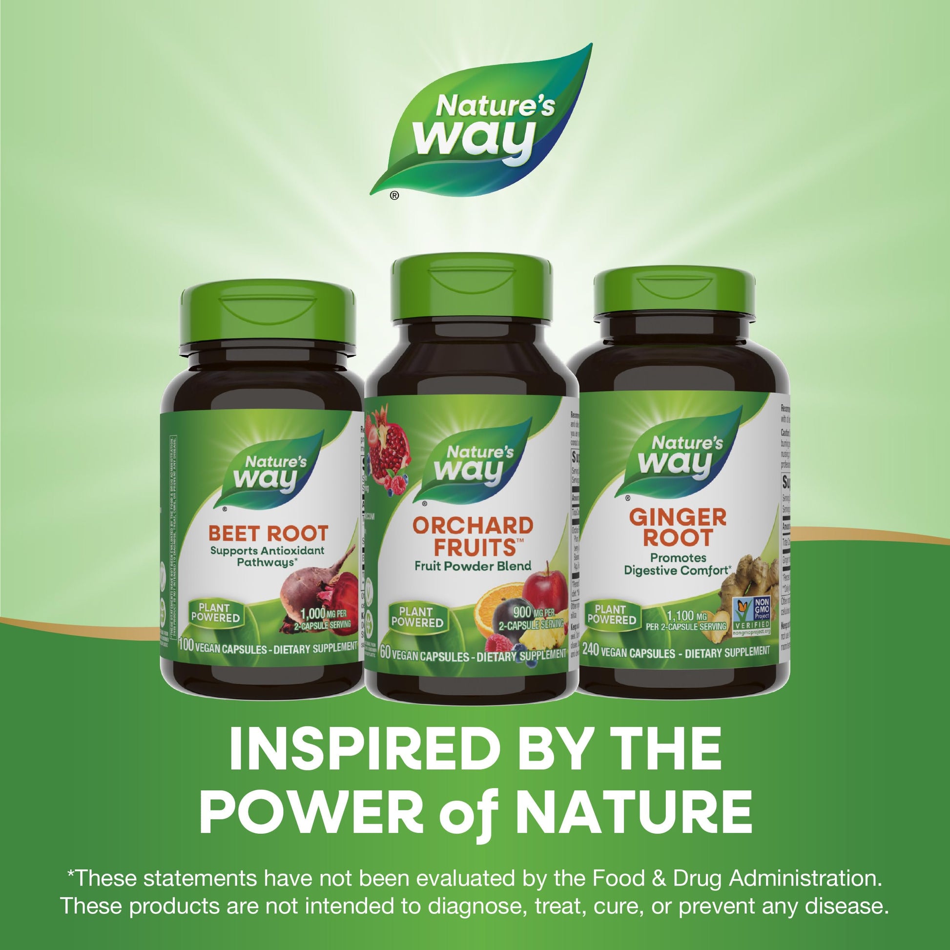 Nature's Way Orchard Fruits, Fruit Powder Blend, Contains 12 Different Fruits, 900mg Per 2-Capsule Serving, 60 Capsules Nature's Way buy supplements canada