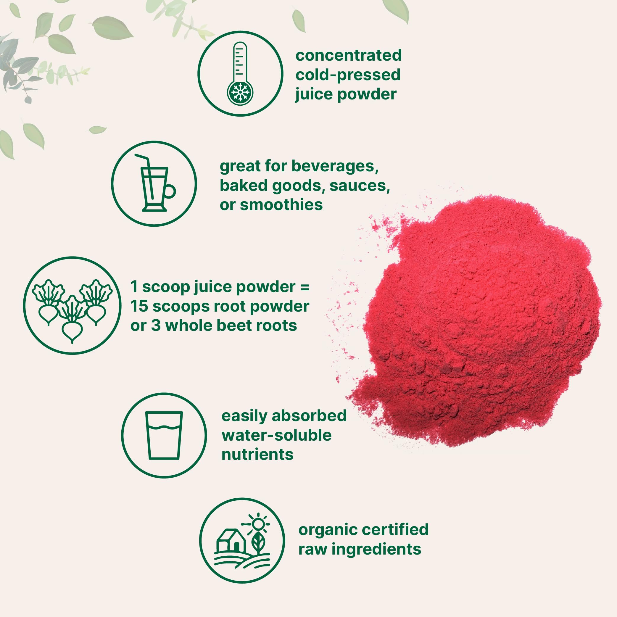 Micro Ingredients Organic Beet Root Powder, 1 Pound, Cold Pressed and Water Soluble Micro Ingredients buy supplements canada