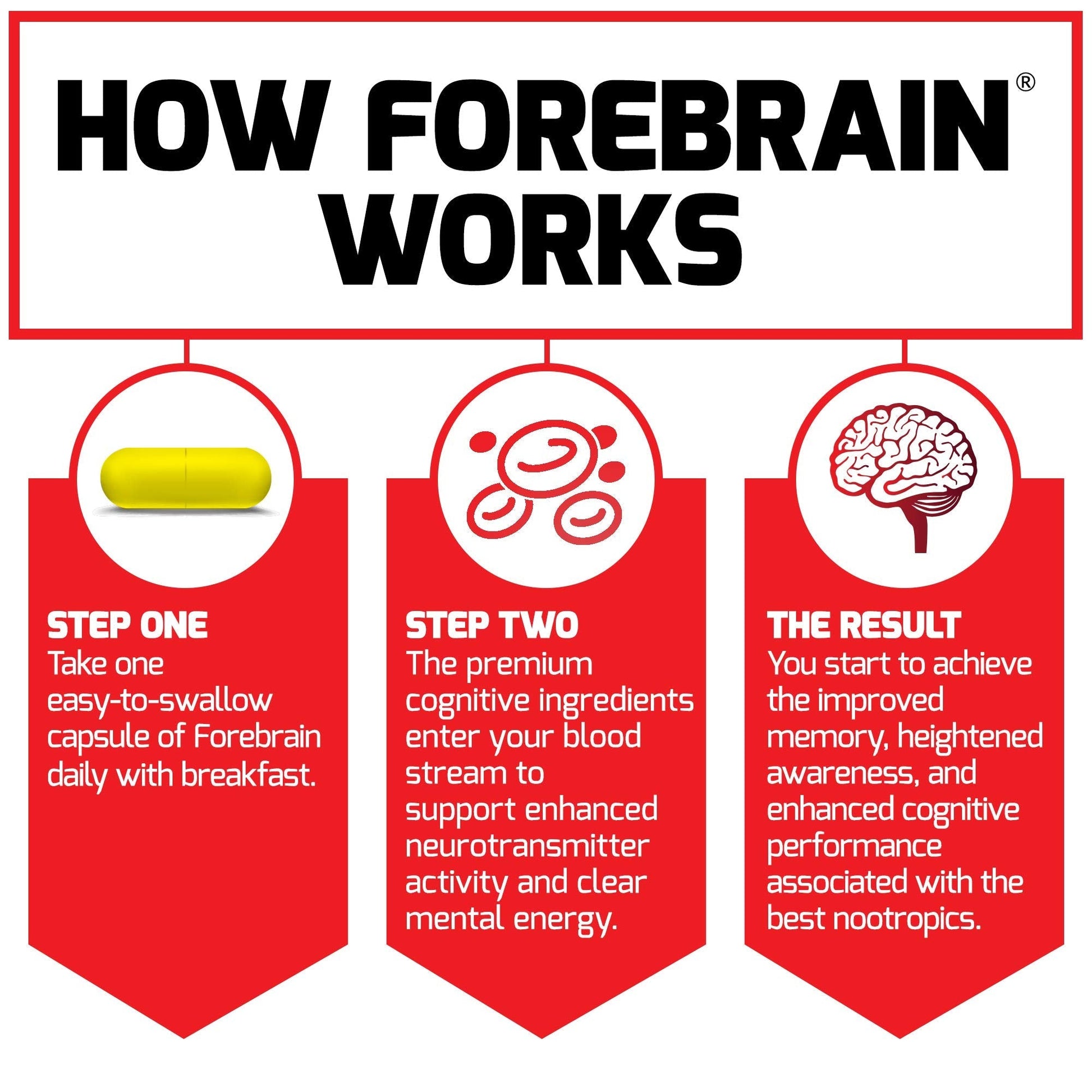Force Factor Forebrain Nootropic Brain Supplement to Improve Memory, Boost Focus, Increase Mental Energy, and Support Brain Health with Caffeine, Bacopa, and Huperzine A, 30 Capsules Force Factor buy supplements canada