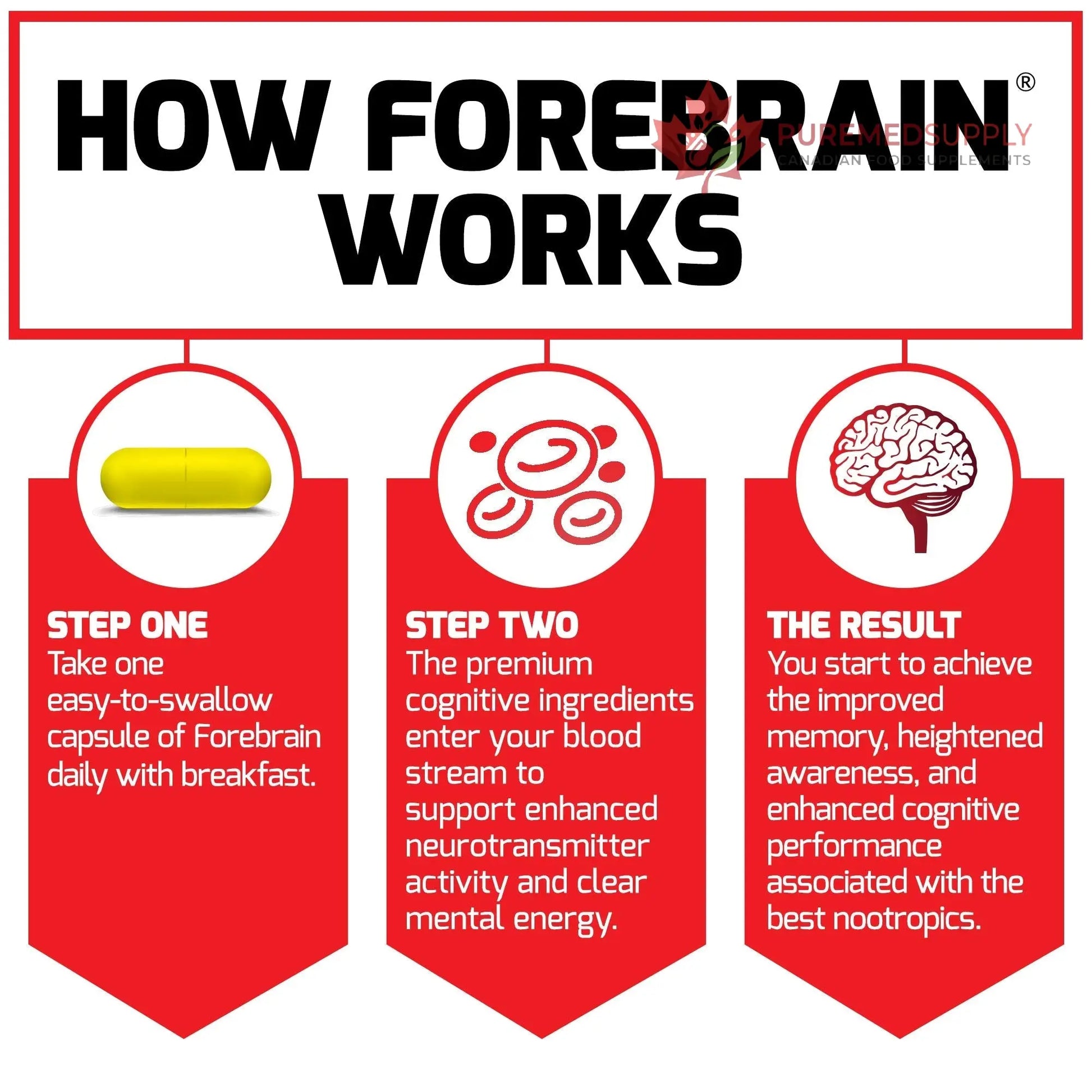 Force Factor Forebrain Nootropic Brain Supplement with Caffeine Bacopa and Huperzine A Capsules 3Pack, White, 90 Count Force Factor buy supplements canada
