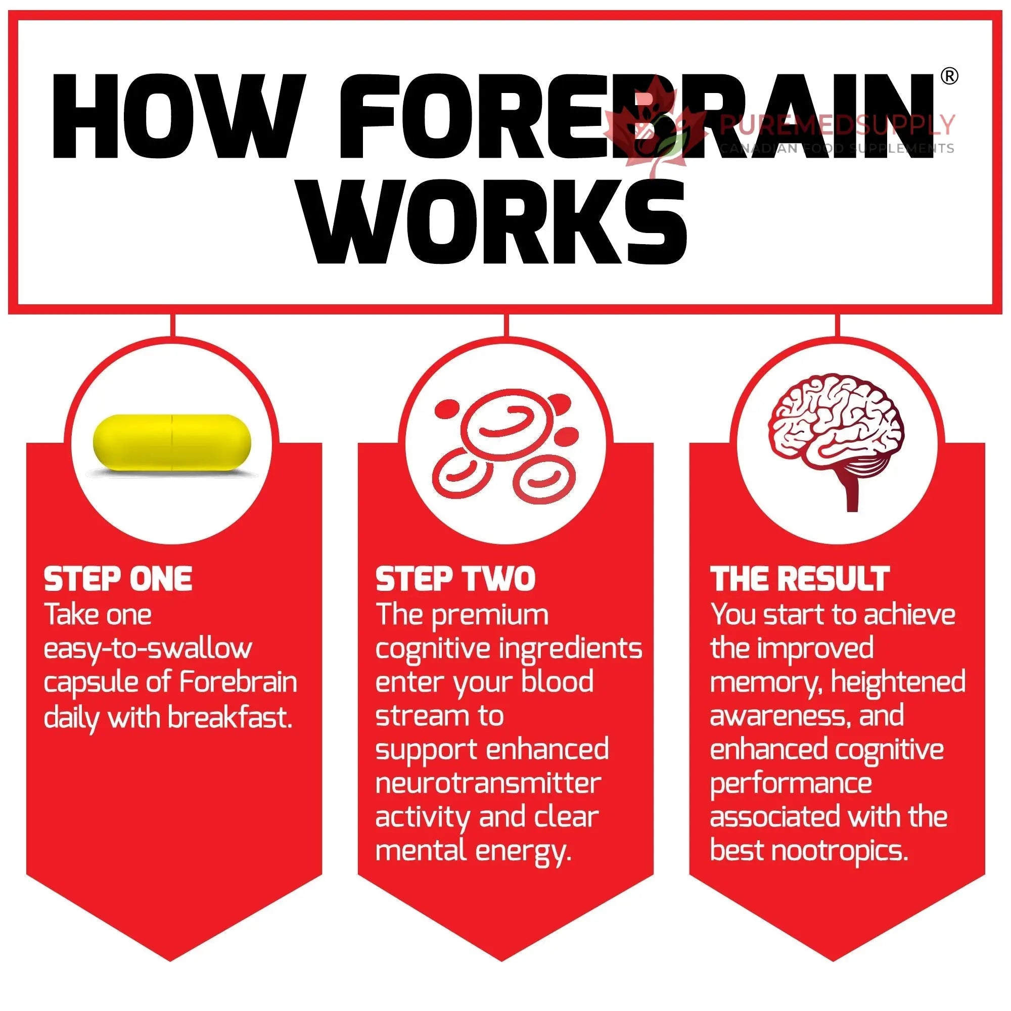 Force Factor Forebrain Nootropic Brain Supplement with Caffeine Bacopa and Huperzine A Capsules 3Pack, White, 90 Count Force Factor buy supplements canada