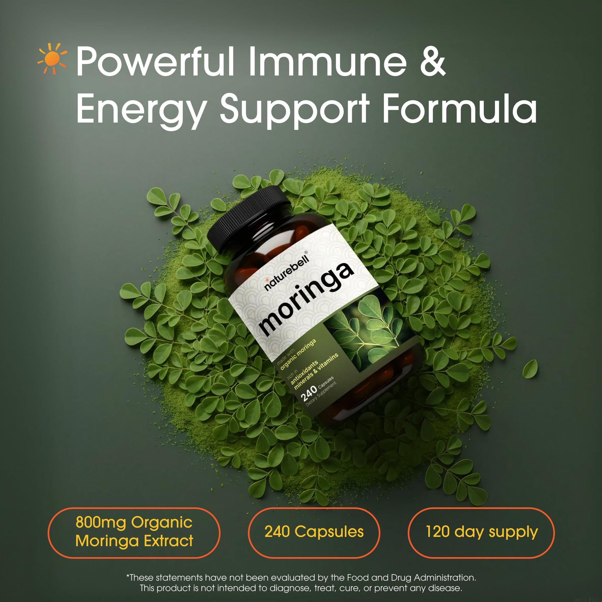 NatureBell Moringa - 240 Capsules - Organic Moringa for Immune, Energy & Skin Health Support - Green Superfood Properties NatureBell buy supplements canada