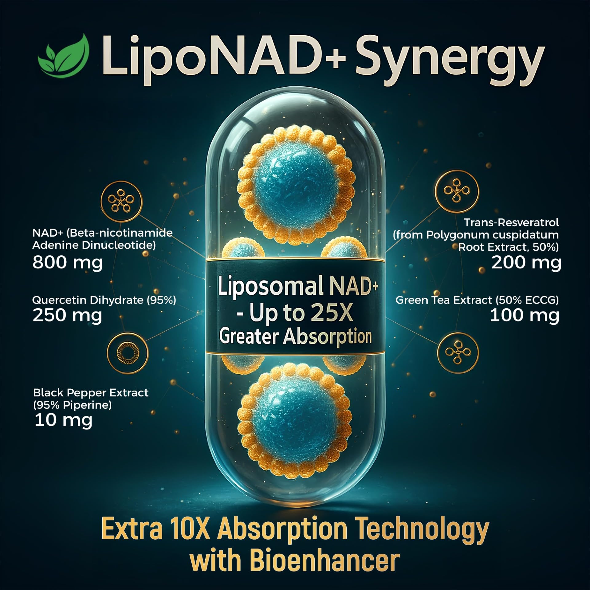 NAD+ Supplement, 1,360mg Max Strength Liposomal | Resveratrol, Quercetin, Green Tea | Cellular Energy & Healthy Aging for Men & Women | 800mg of 100% High Purity NAD+ for Energy, Focus - 90 Capsules Holistnature buy supplements canada