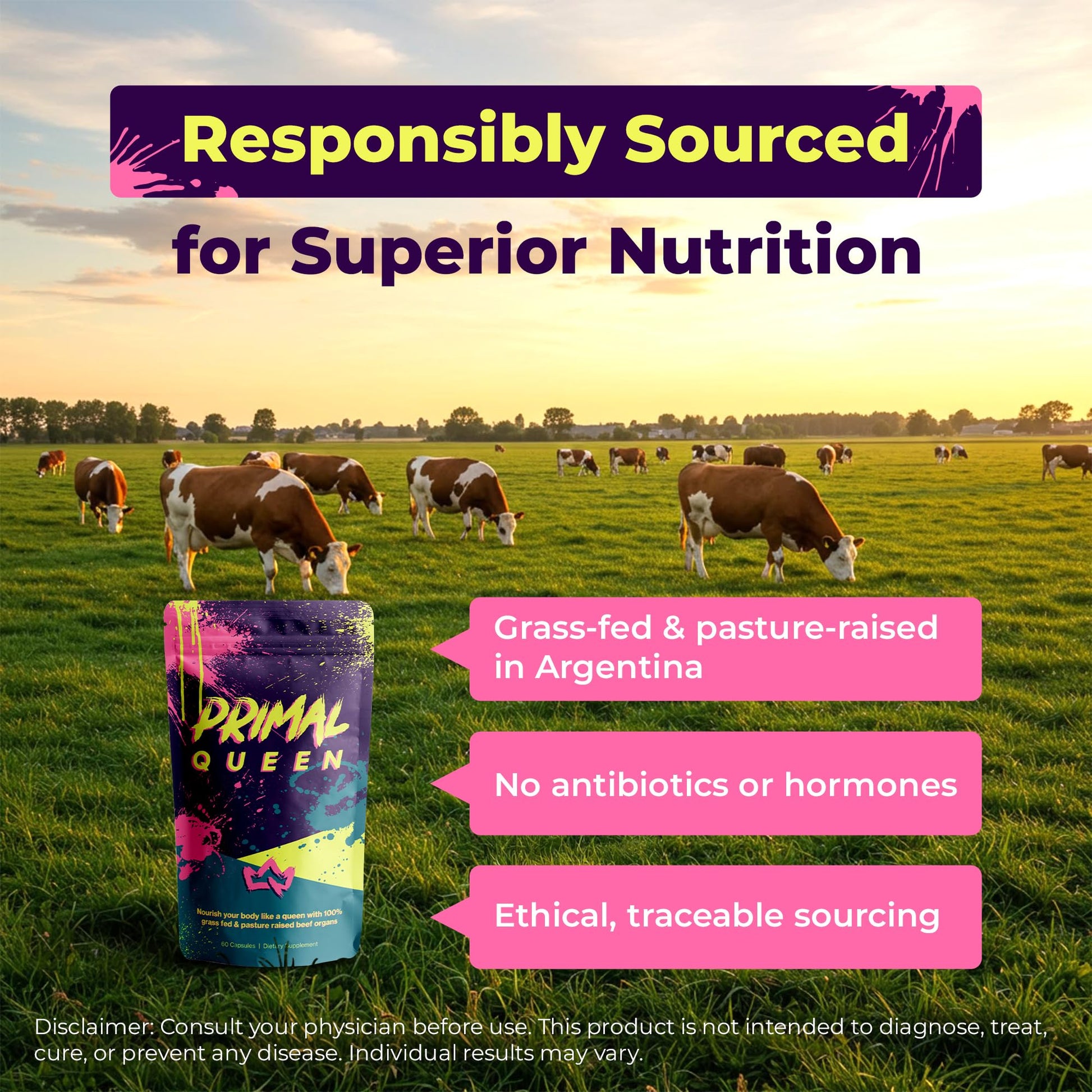 Primal Queen Female-Optimized Beef Organ Superfood Supplement (Beef Liver, Kidney, Heart, & 3 More) - 100% Grass Fed, Pasture Raised - 3rd Party & Clinically Tested Primal Queen buy supplements canada