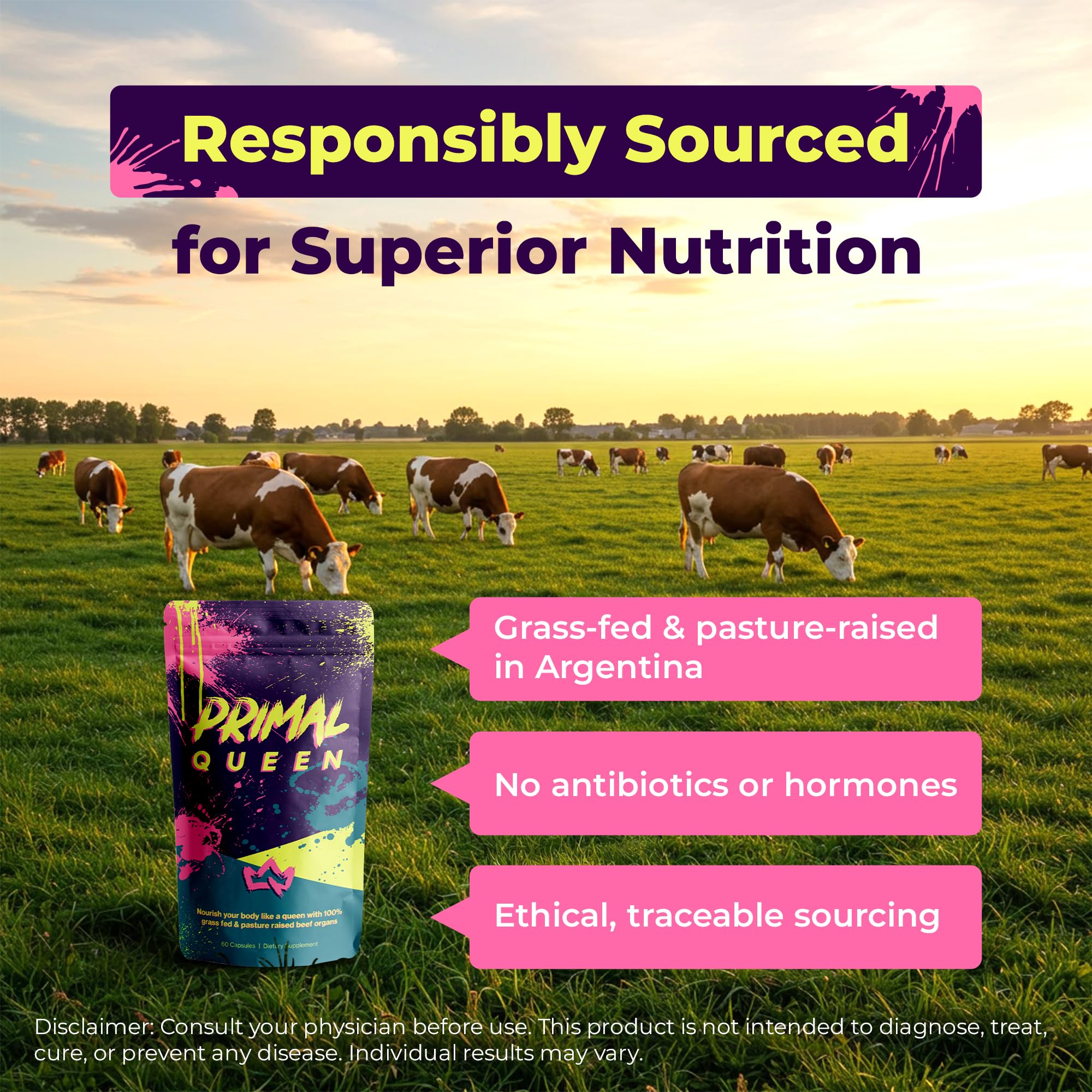 Primal Queen Female-Optimized Beef Organ Superfood Supplement (Beef Liver, Kidney, Heart, & 3 More) - 100% Grass Fed, Pasture Raised - 3rd Party & Clinically Tested Primal Queen buy supplements canada