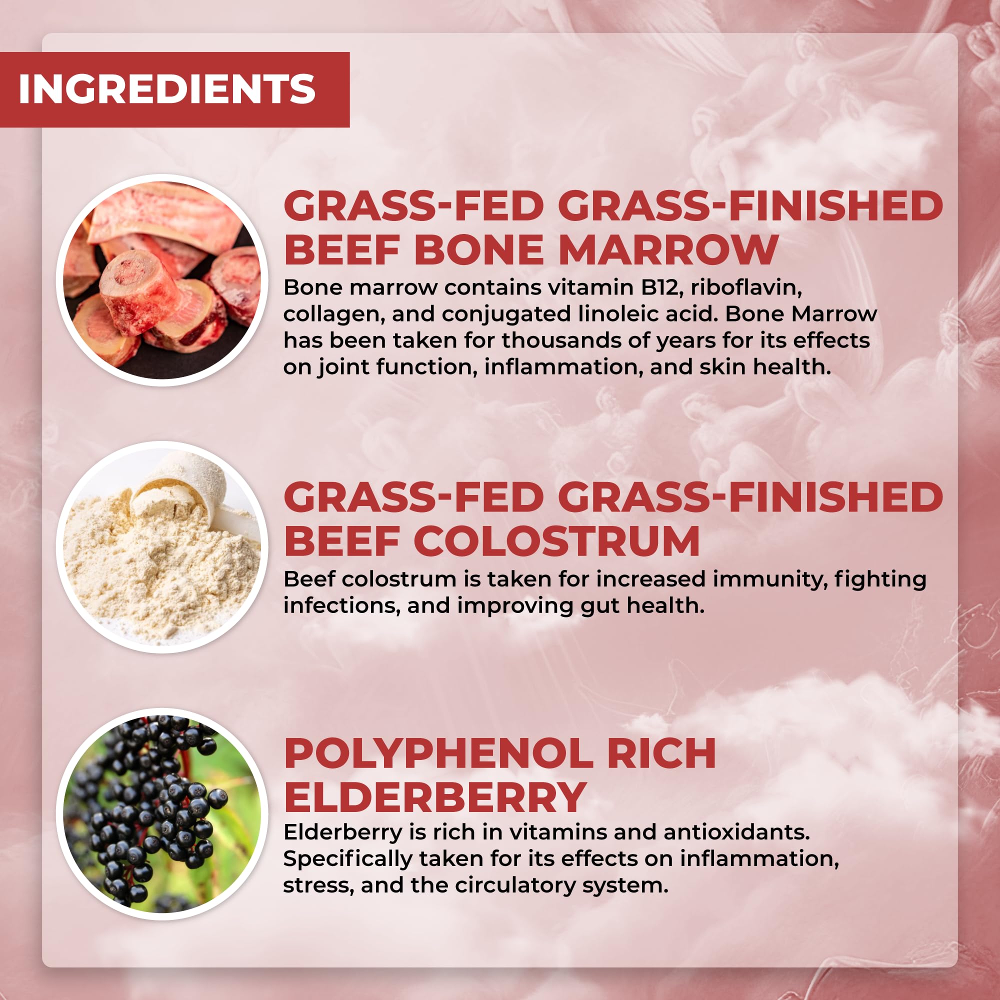 Santa Cruz Paleo, Food of the Gods Grass Fed Beef Organ Supplement for Men and Women, with Collagen, Maca Root, Colostrum, Bone Broth, Iron, Vitamin B12, Gluten Free, Keto Friendly, 30 Servings Santa Cruz Paleo buy supplements canada