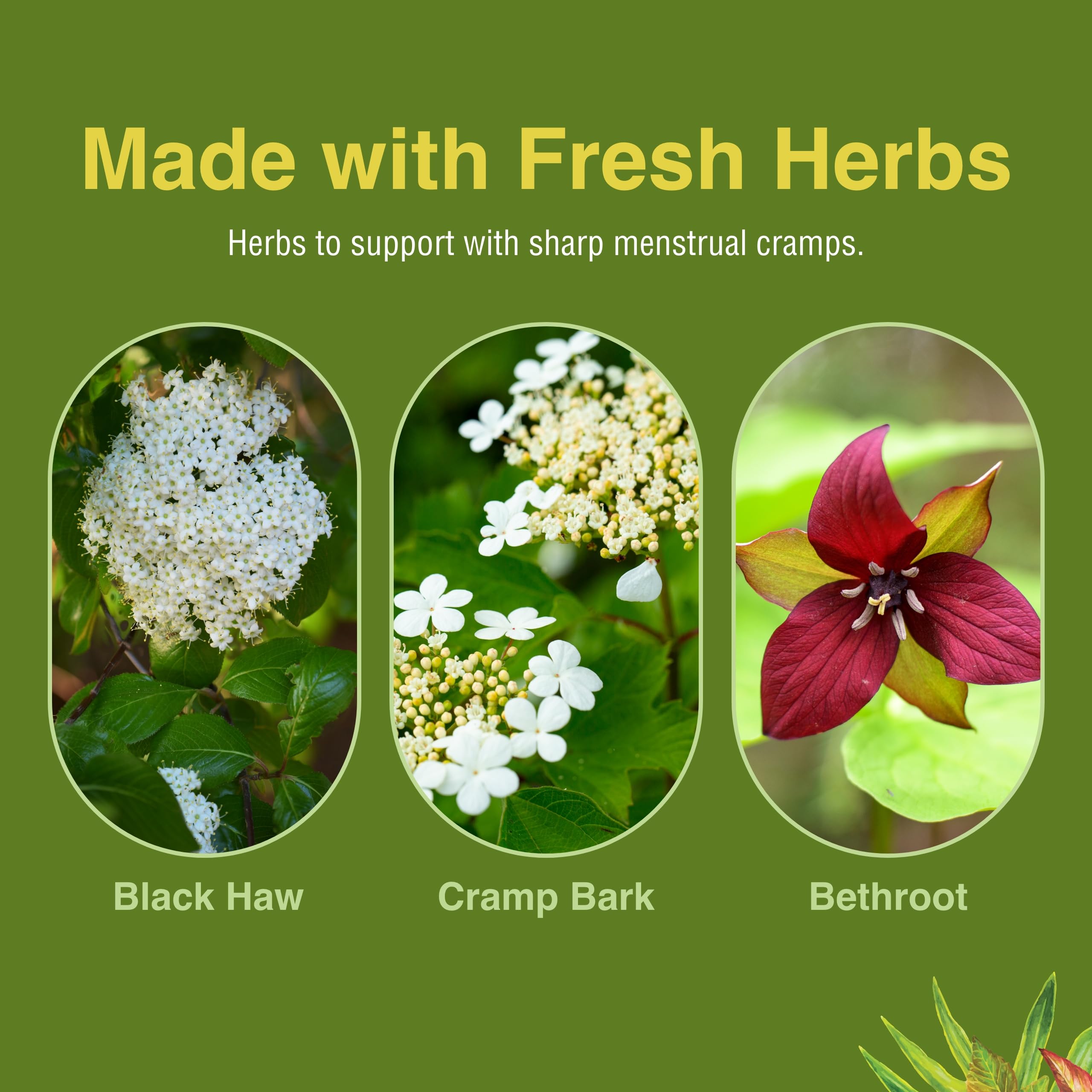 Herbs Etc. Cramp ReLeaf (Menstrual) - Abdominal Muscle Support - Herbal Supplement to Aid Menstrual Health - Period Cramp Support with Black Haw, Cramp Bark and Bethroot - 60 Softgels (60 Servings) Herbs Etc. buy supplements canada