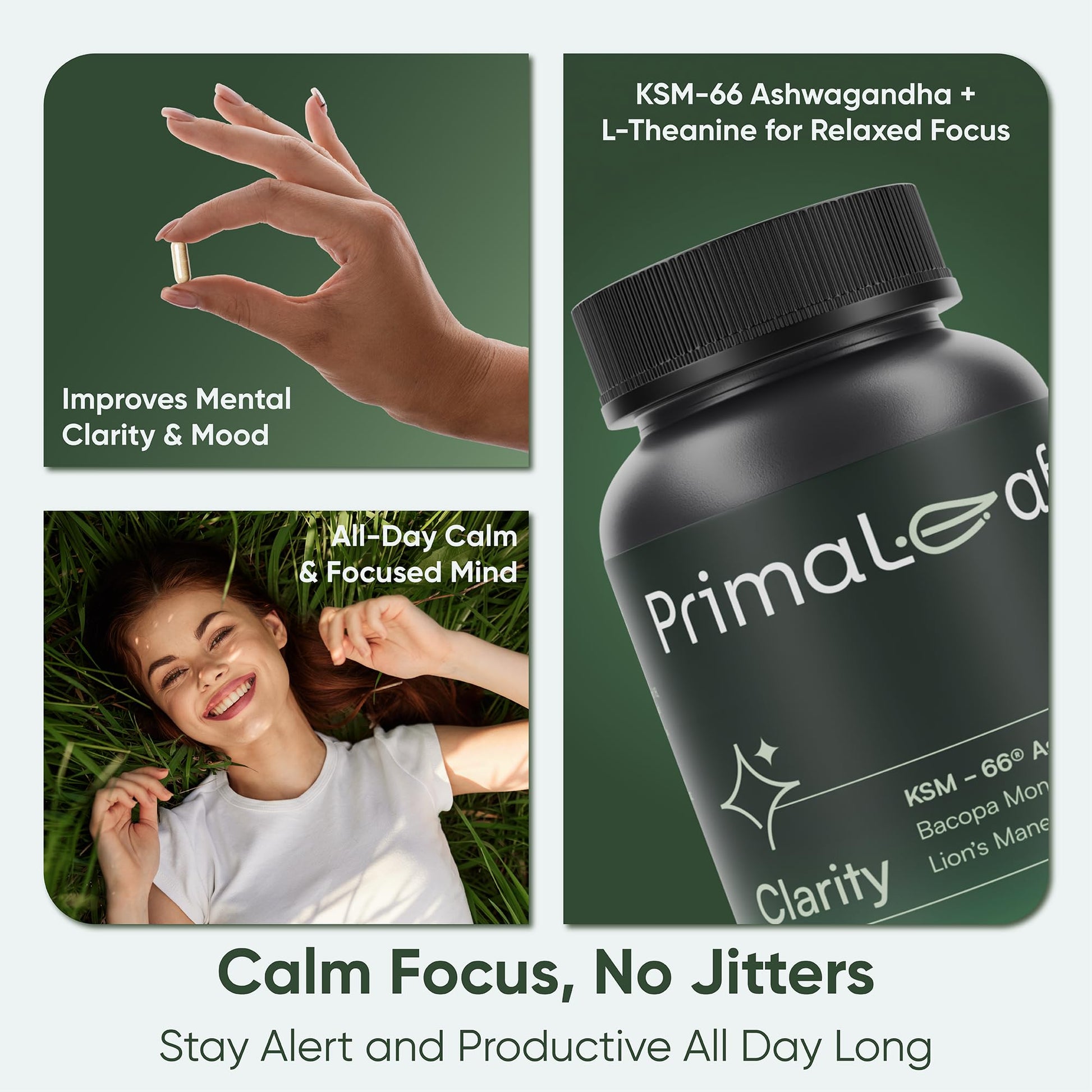 PrimaLeaf Clarity Nootropics Brain Supplement for Focus, Memory, & Stress Relief | Natural Nootropic with KSM66 Ashwagandha, Lions Mane, Bacopa, L Theanine | Cognitive & Mood Support | 60 Veg Capsules PrimaLeaf buy supplements canada