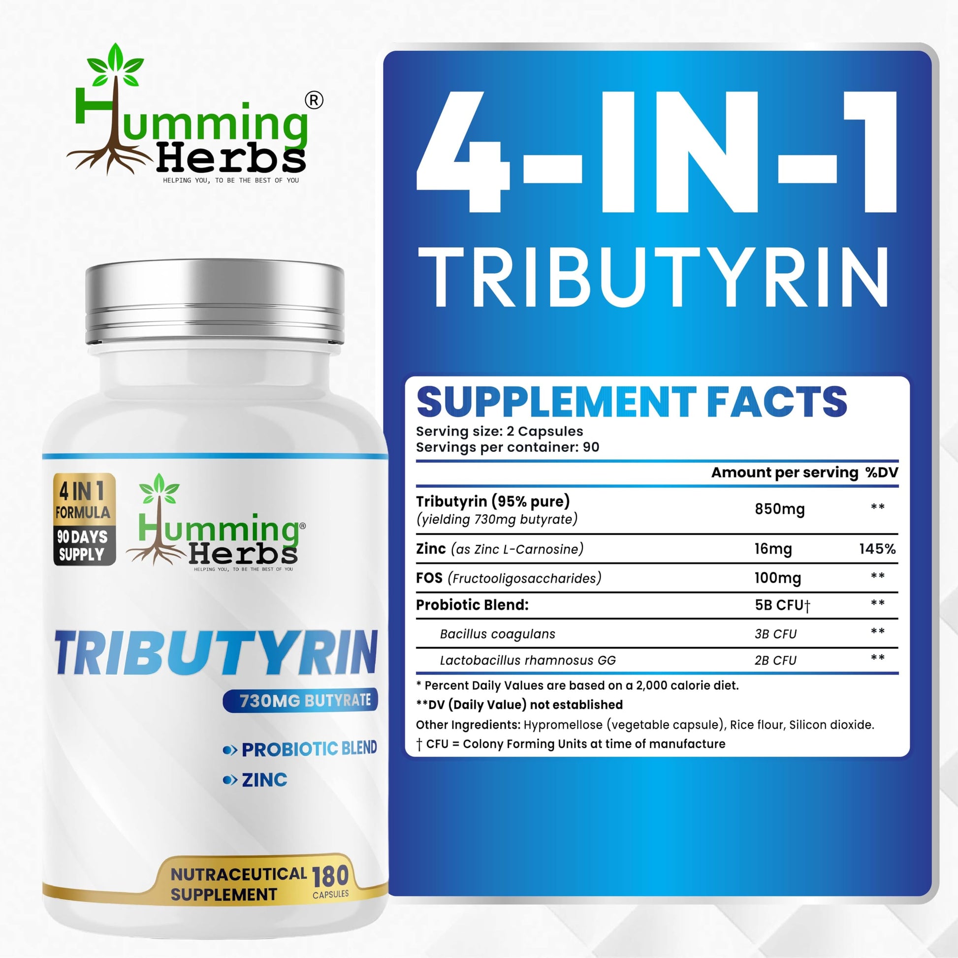 Humming Herbs Tributyrin Complex — 850 mg per Serving (95% Pure, yielding 731 mg Butyrate) with L-Glutamine, Zinc L-Carnosine, FOS & Probiotic Blend (180) Humming Herbs buy supplements canada