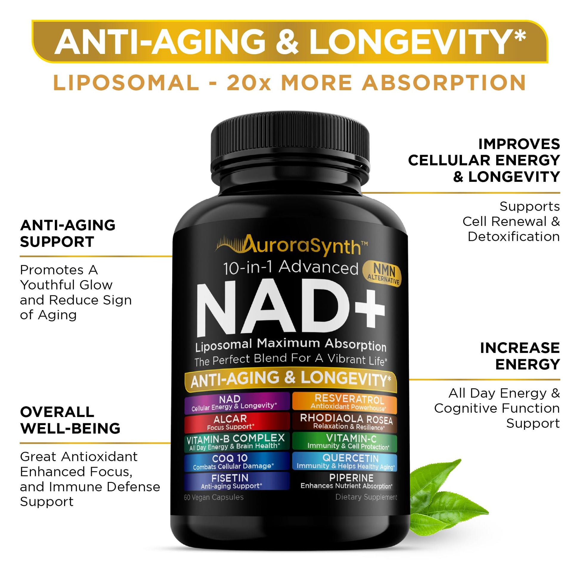 NAD+ Supplement Liposomal Capsules - Max Absorption for Cellular Energy, Healthy Aging, Brain Function & DNA Health - Vegan, Non-GMO, Gluten-Free Supplement - 60 Capsules - Supports NAD Levels AuroraSynth buy supplements canada