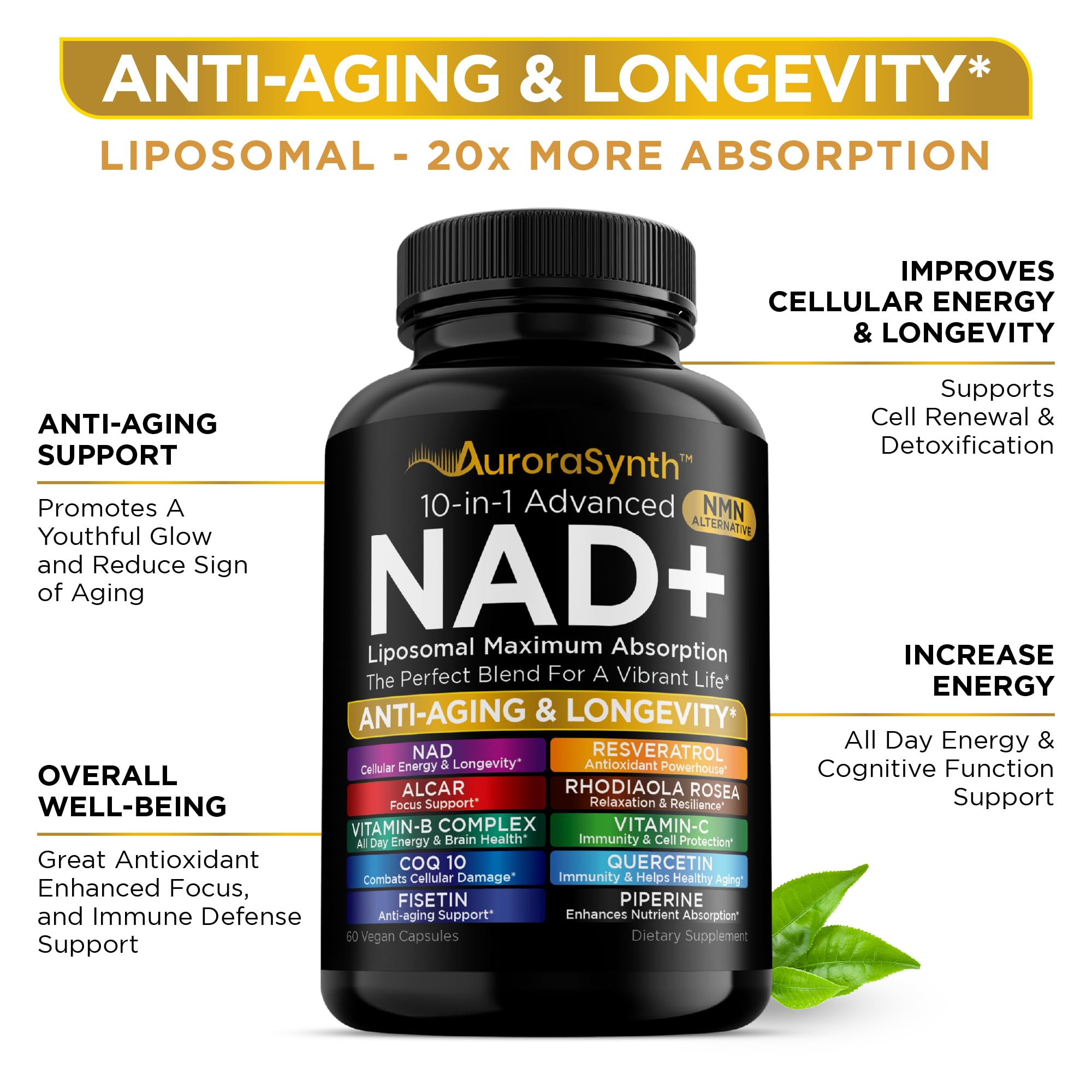 NAD+ Supplement Liposomal Capsules - Max Absorption for Cellular Energy, Healthy Aging, Brain Function & DNA Health - Vegan, Non-GMO, Gluten-Free Supplement - 60 Capsules - Supports NAD Levels AuroraSynth buy supplements canada