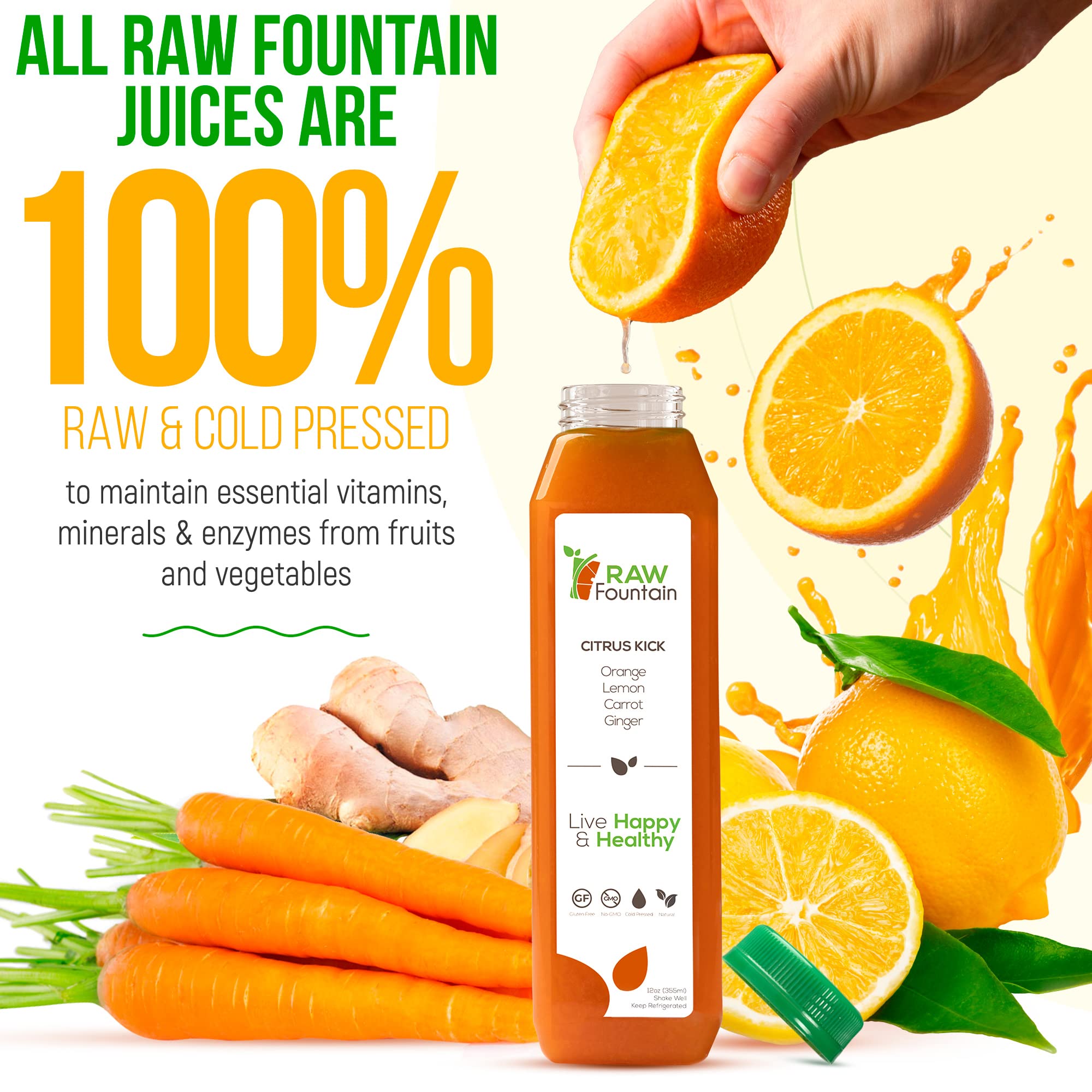 1 Day Green Juice Cleanse by Raw Fountain, All Natural Raw, Vegan Detox, Cold Pressed Raw Fountain buy supplements canada