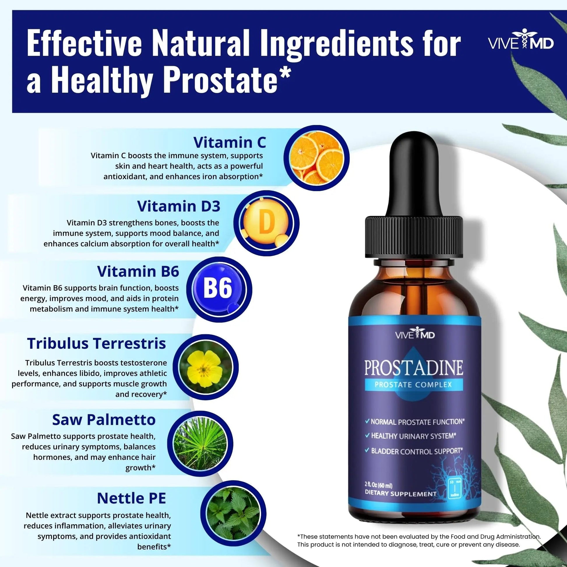 VIVE MD Prostadine Drops for Prostate Health, Bladder Urinating Issues - Prostadine Official Drop Formula - Extra Strength with Pomegranate, Prostadine Reviews (Package of 1) VIVE MD buy supplements canada