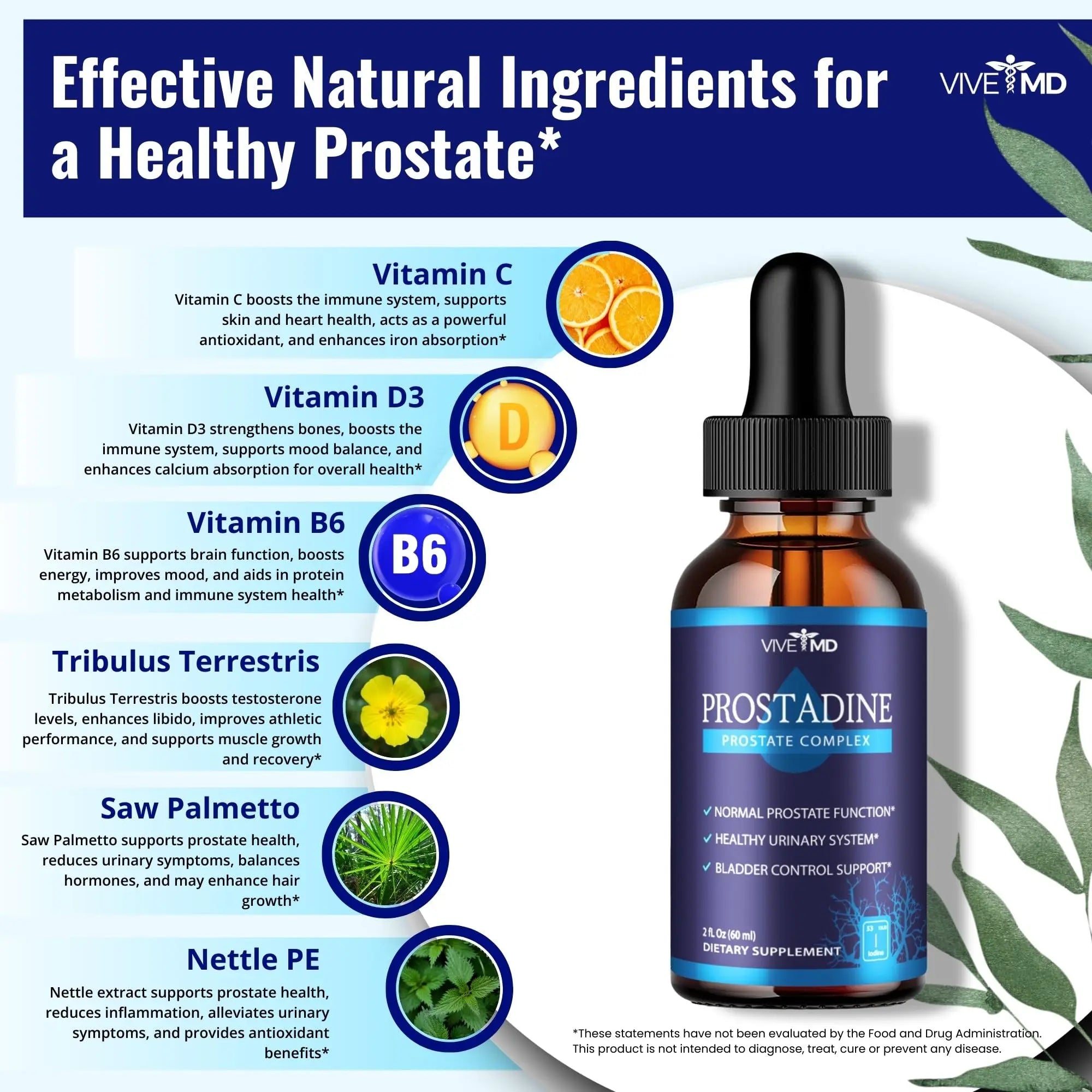 VIVE MD Prostadine Drops for Prostate Health, Bladder Urinating Issues - Prostadine Official Drop Formula - Extra Strength with Pomegranate, Prostadine Reviews (Package of 1) VIVE MD buy supplements canada