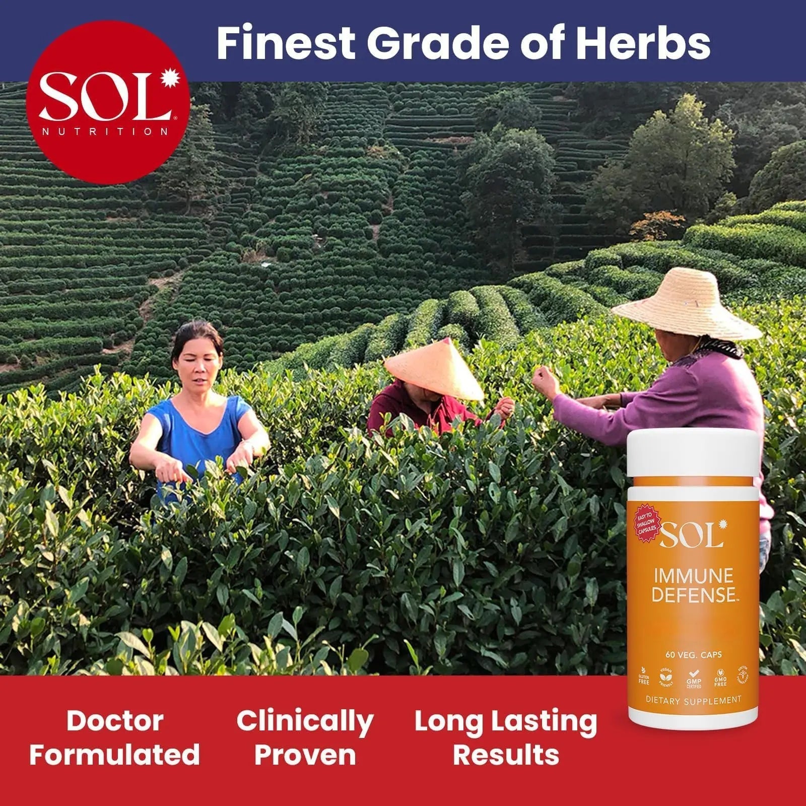 Immune Defense Supplement: Clears Allergens, Builds Strong Immune System, 15X More Powerful, Astragalus, Goto Kola, Andrographis Sol Nutrition buy supplements canada