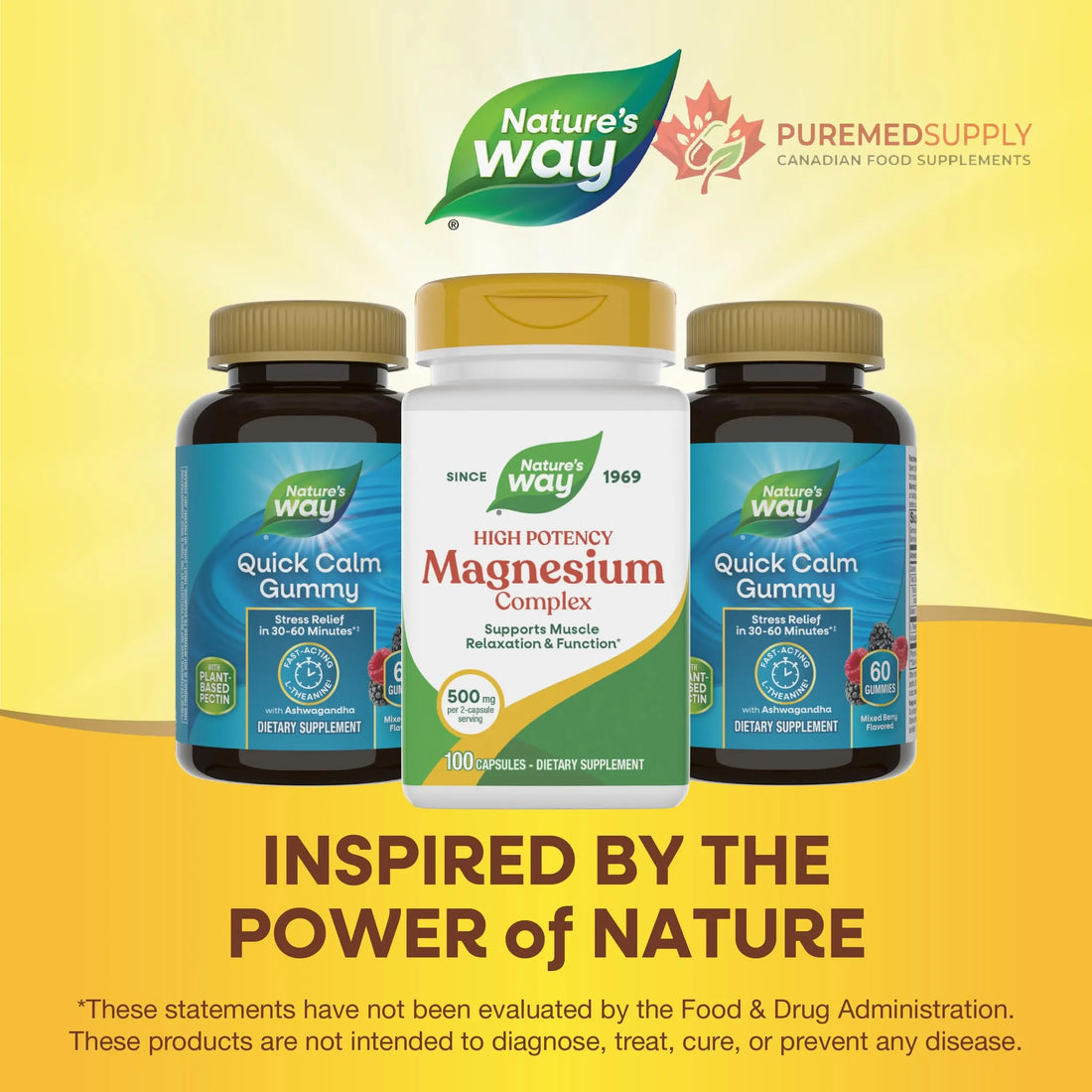 Nature's Way Magnesium Complex, Supports Muscle Relaxation*, Muscle Function*, Promotes a sense of Calm*, Magnesium Citrate and Oxide, 100 Capsules Nature's Way buy supplements canada