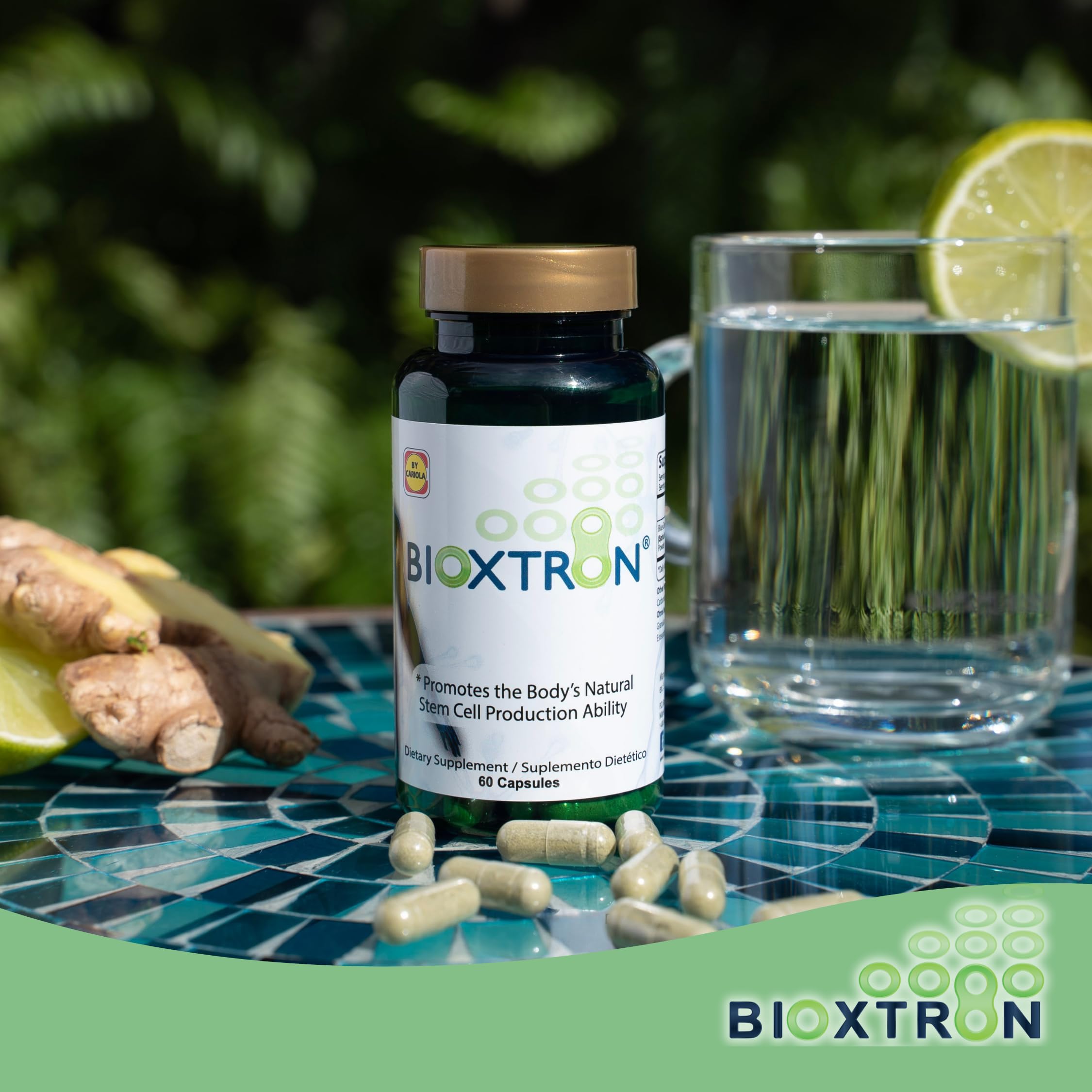 Bioxtron Natural AFA Stem Cell Supplement - Joint Support & Muscle Pain - Immune System Support - Support Energy Levels - Natural Blue Green Algae Spirulina - Pack of 2-120 Caps Bioxtron buy supplements canada