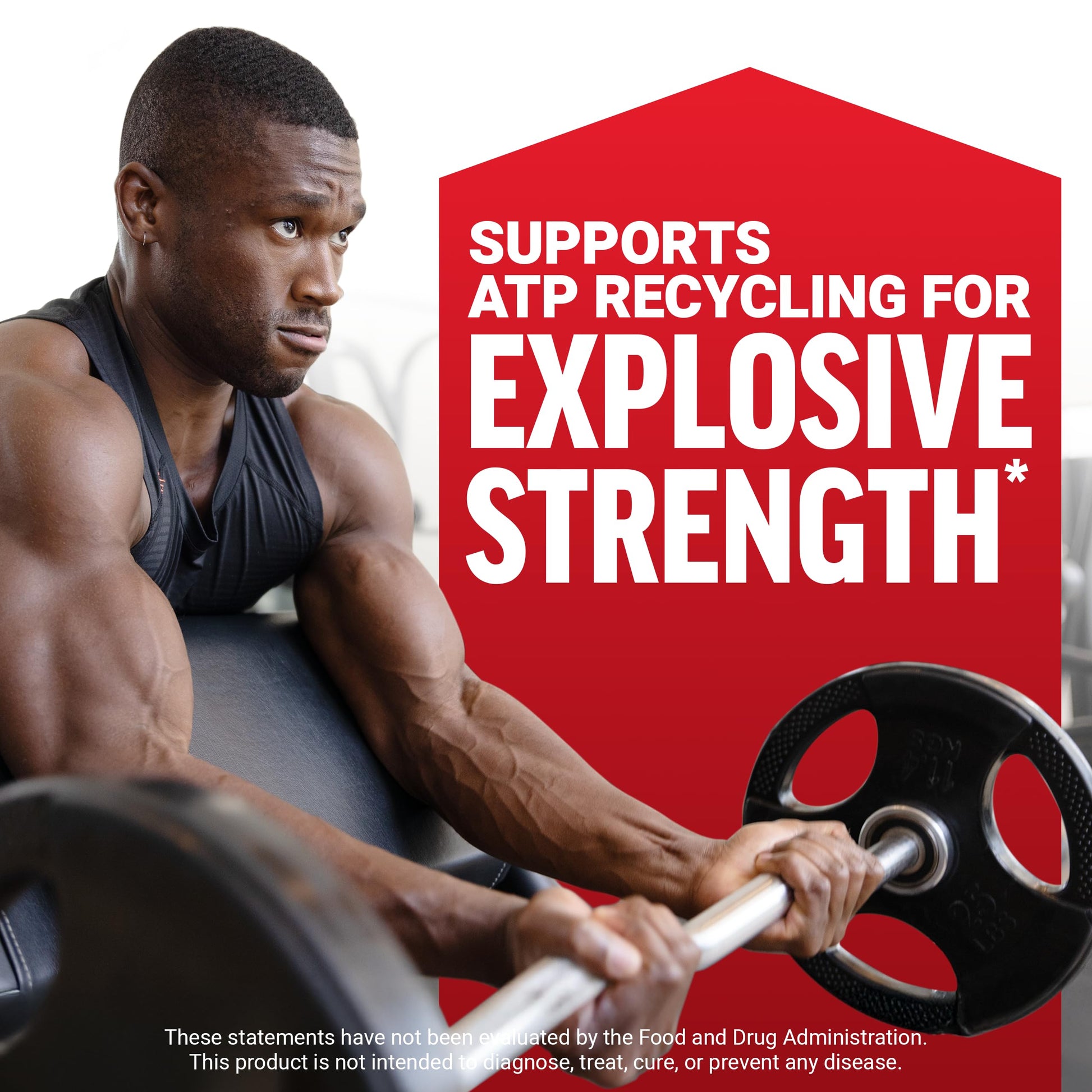 Force Factor Creatine Monohydrate Powder, 5g Micronized Dose to Support Muscle Growth, Strength, Recovery, Cognitive Health & Memory Force Factor buy supplements canada