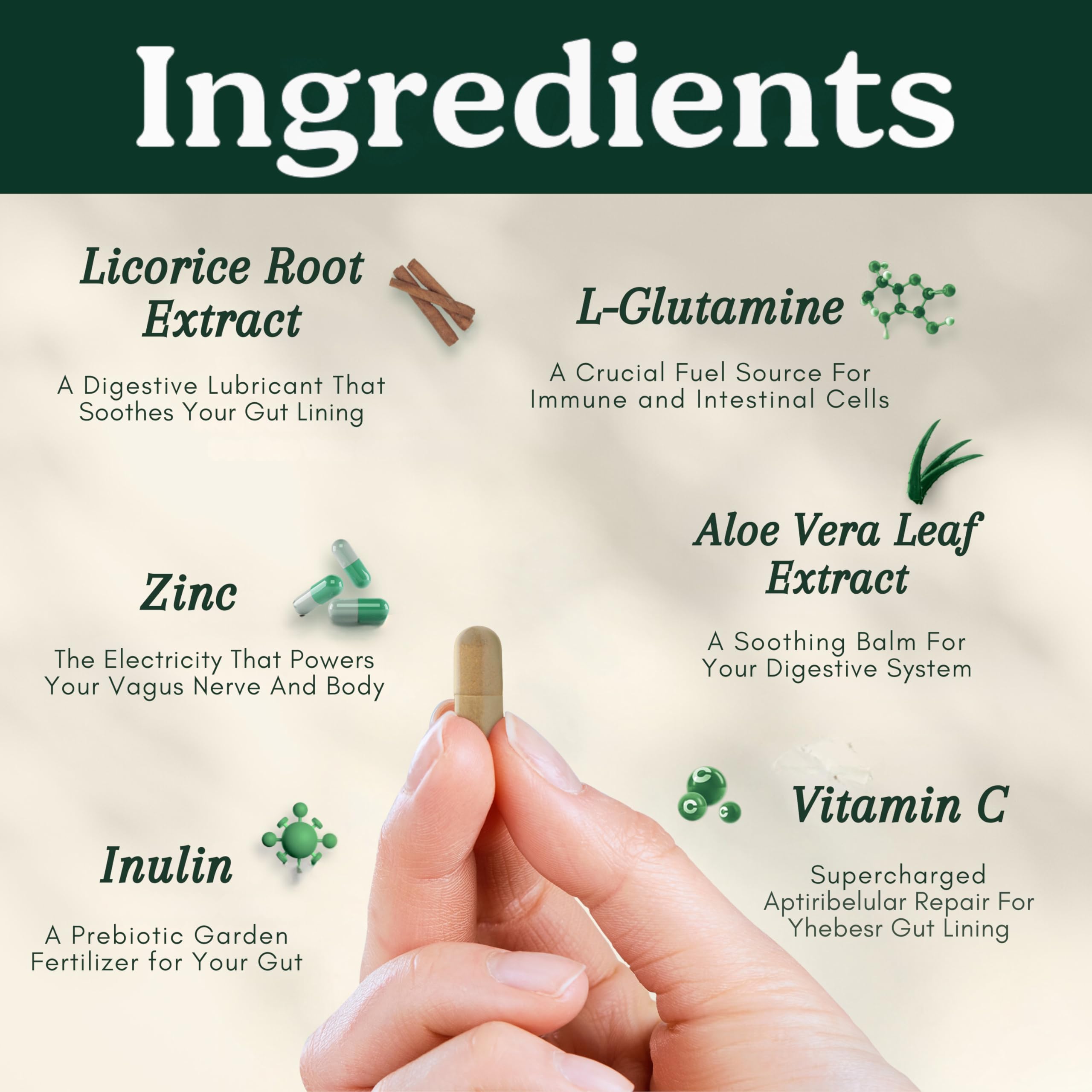 Best Days Formula | Advanced 5-in-1 Gut Support for Bloating, Gas & Irregularity | Soil-Based Probiotics + Prebiotics, L-Glutamine, Aloe Vera & More | 60 Capsules Law Of Nature buy supplements canada