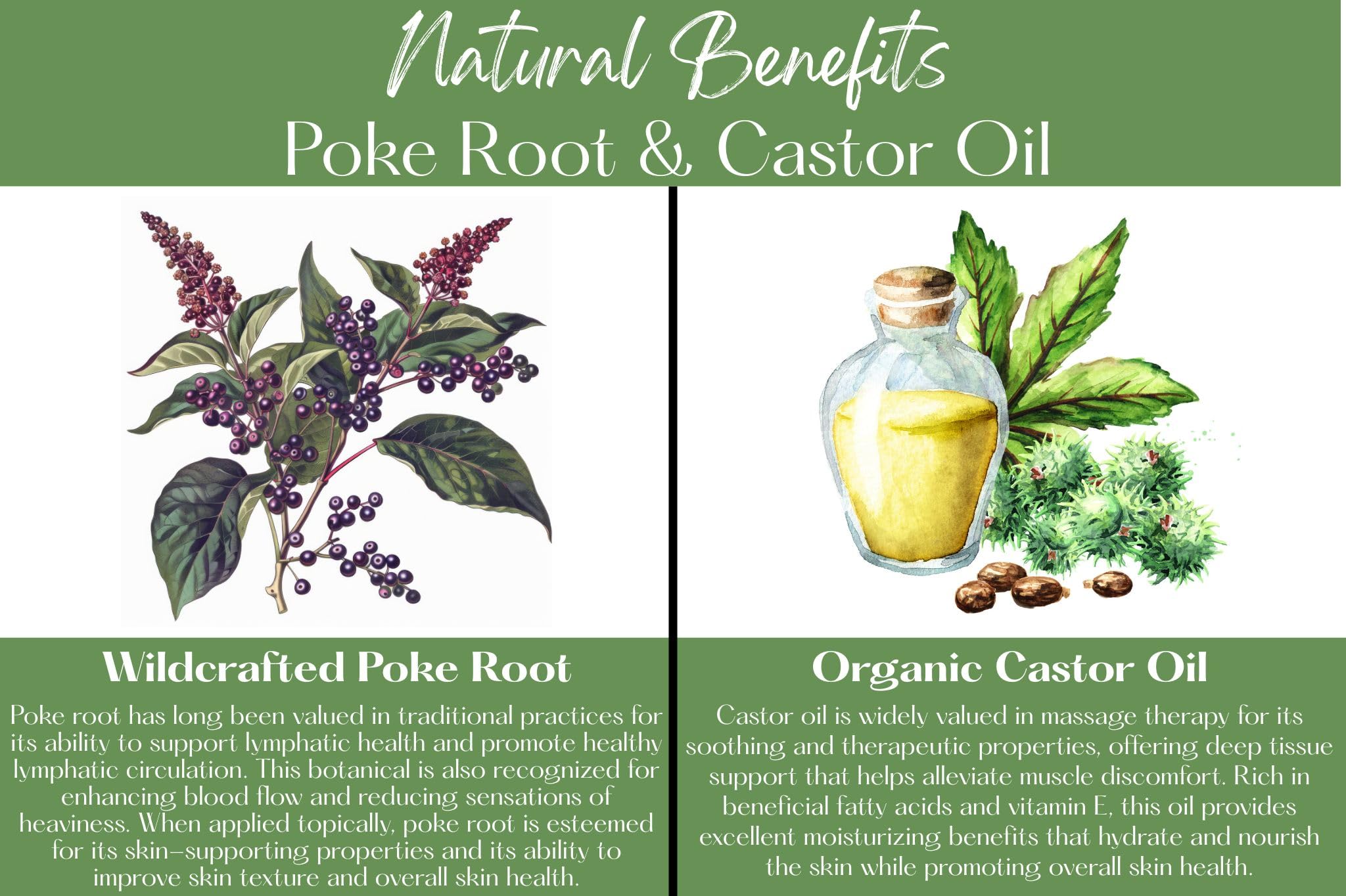 Organic Poke Root Castor Oil Salve | Vegan Lymphatic Support | Enriched with Essential Oils | Cysts, Boils, Fibroids, Swollen Lymph Nodes, Breast & Joint (1oz, Lilac) Living Farms buy supplements canada