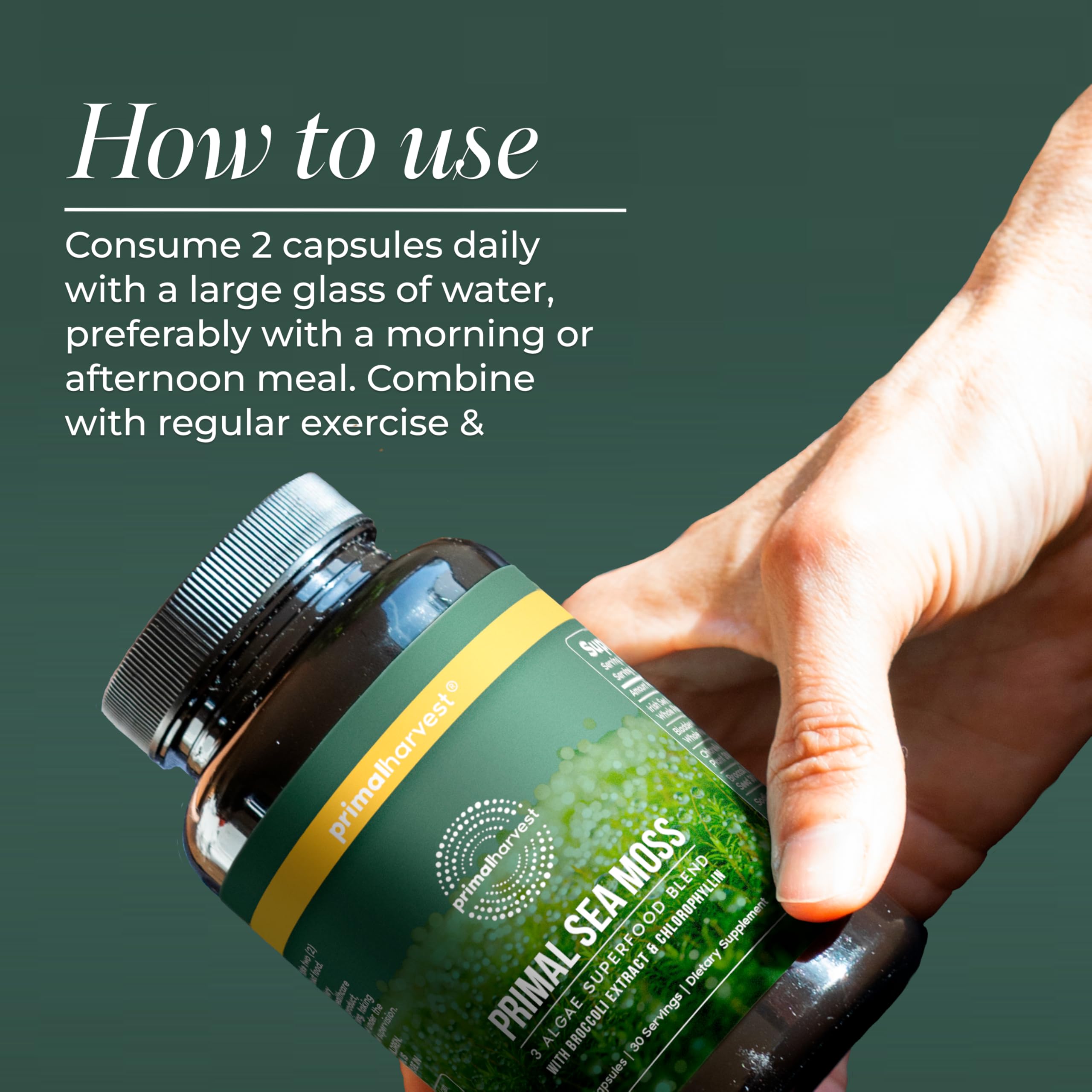 Primal Harvest Sea Moss Capsules with Bladderwack and Irish Sea Moss, Chlorella, Broccoli Seed Extract Plant-Based Supplements for Adults Primal Harvest buy supplements canada