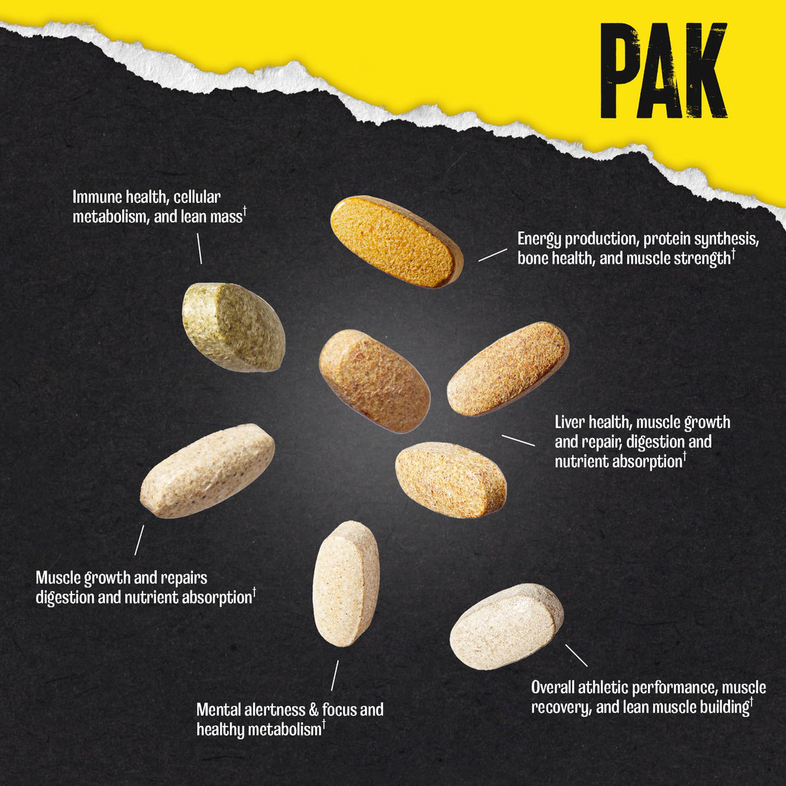 Animal Pak - Convenient Multivitamin for Men & Women Daily All-in-One Vitamin & Supplement Pack - Zinc, Vitamins C, B, D, Amino Acids, and Immune Support - Sports Nutrition Performance - 44 Count Animal buy supplements canada