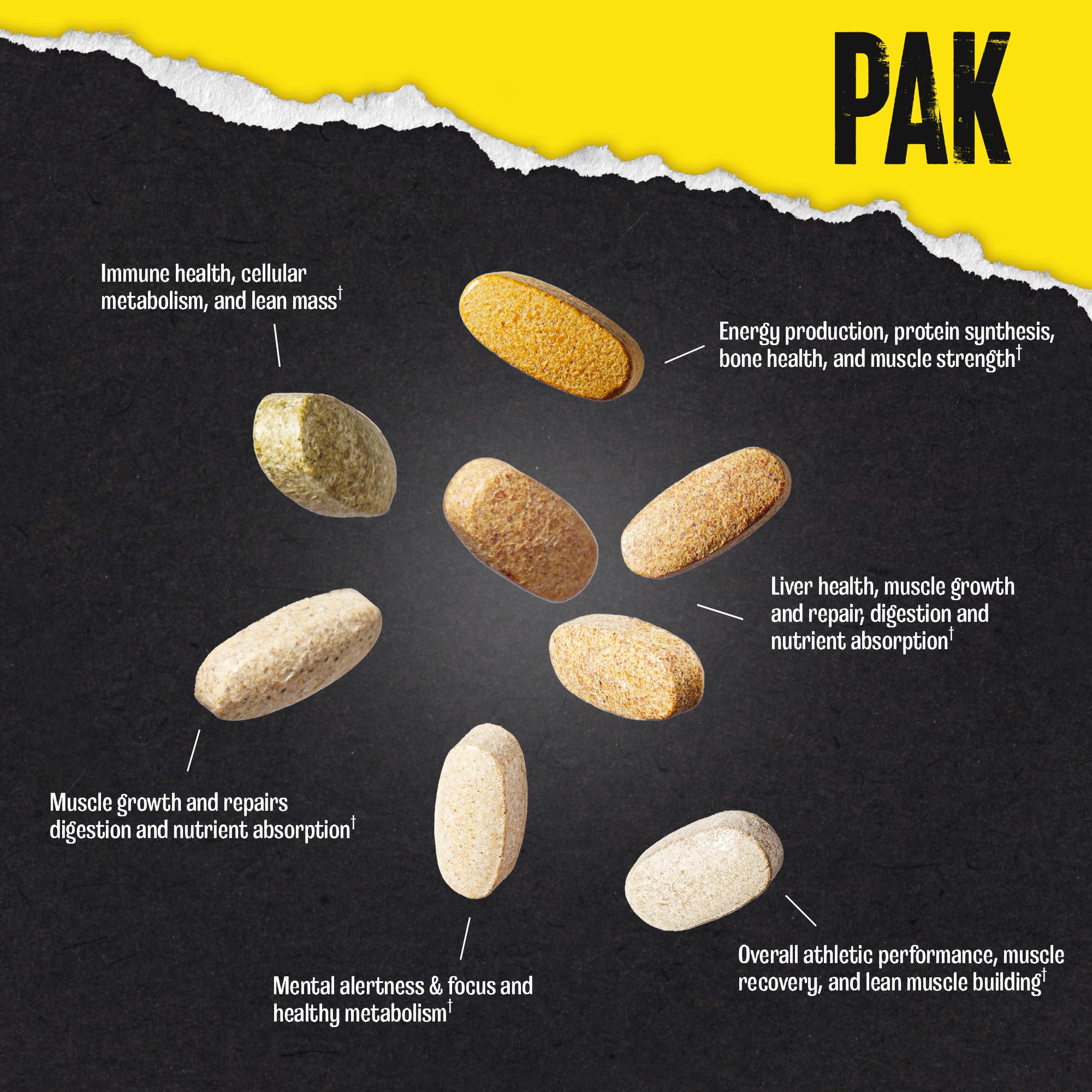 Animal Pak - Convenient Multivitamin for Men & Women Daily All-in-One Vitamin & Supplement Pack - Zinc, Vitamins C, B, D, Amino Acids, and Immune Support - Sports Nutrition Performance - 44 Count Animal buy supplements canada