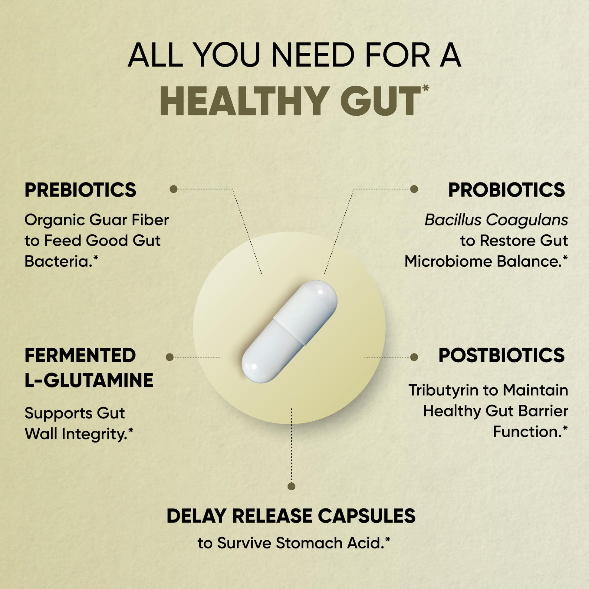 Sandhu's Gut Health - Prebiotic, Probiotic, Postbiotic & L-Glutamine | Digestive Health, Colon, Probiotic Total Supplements | 120 Delayed Release Capsules Sandhu's buy supplements canada