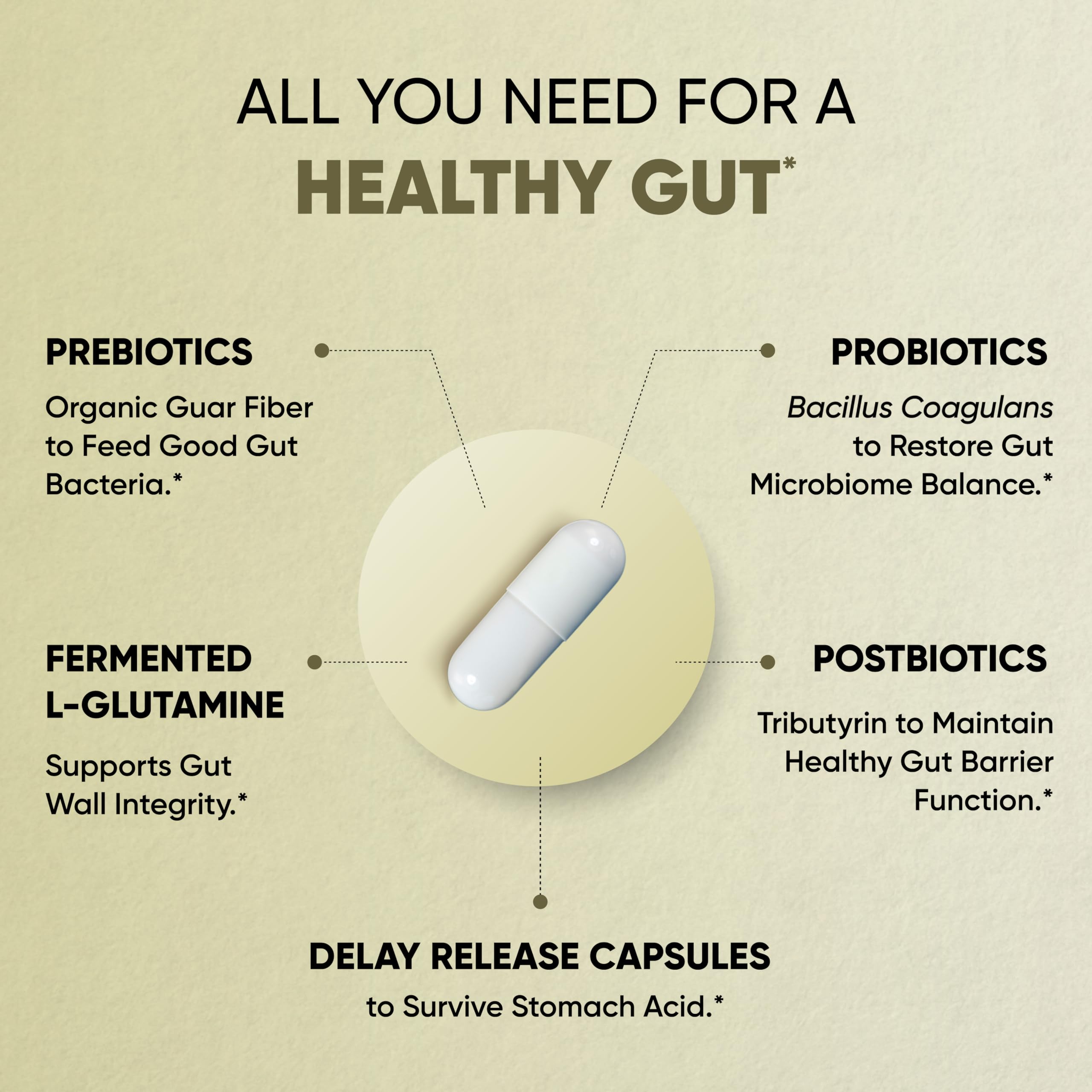Sandhu's Gut Health - Prebiotic, Probiotic, Postbiotic & L-Glutamine | Digestive Health, Colon, Probiotic Total Supplements | 120 Delayed Release Capsules Sandhu's buy supplements canada
