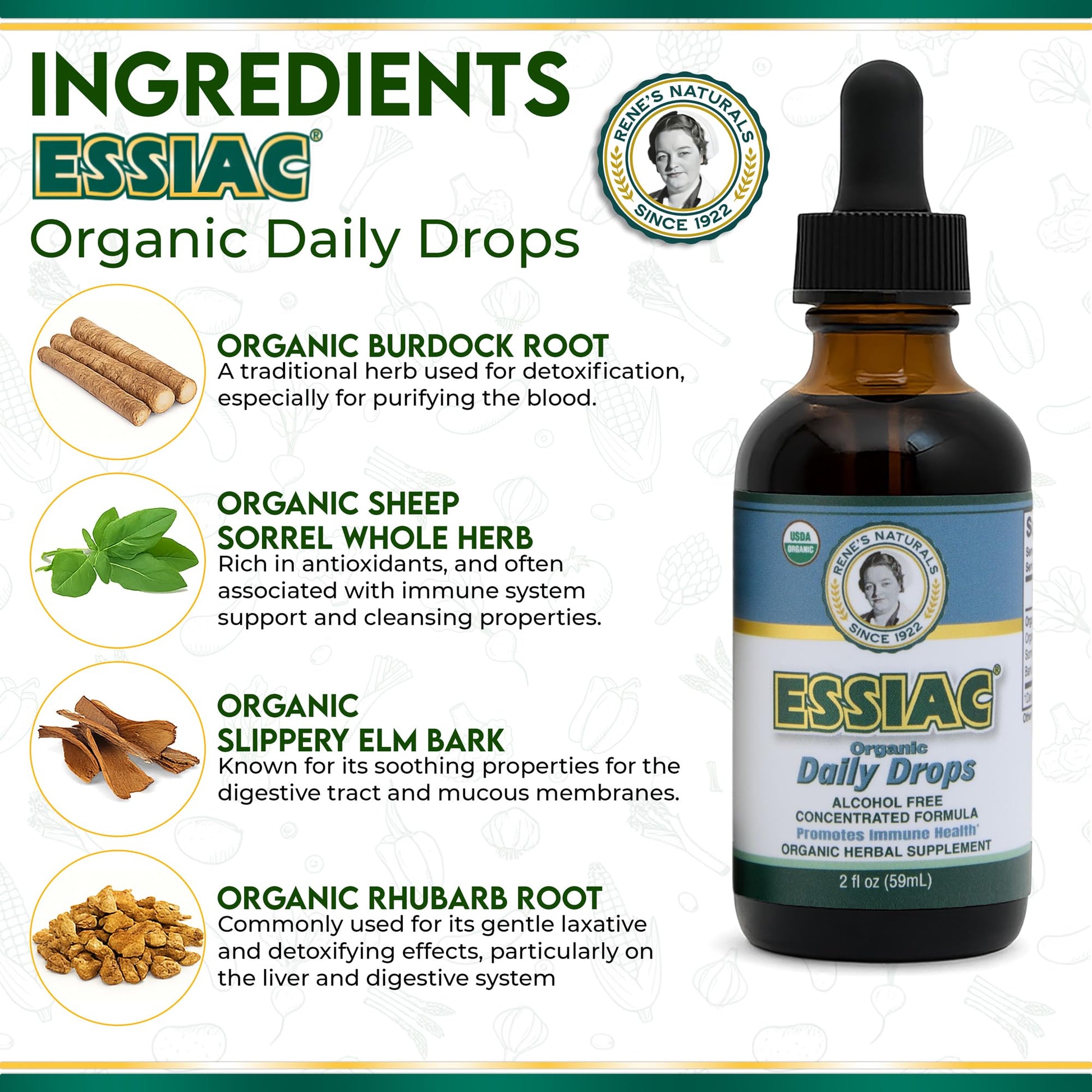 Essiac Original Tea USDA Organic Daily Drops for Enhanced Lymphatic Drainage and Immune Support | Alcohol Free Concentrated Formula | 2oz (59ml) Essiac buy supplements canada