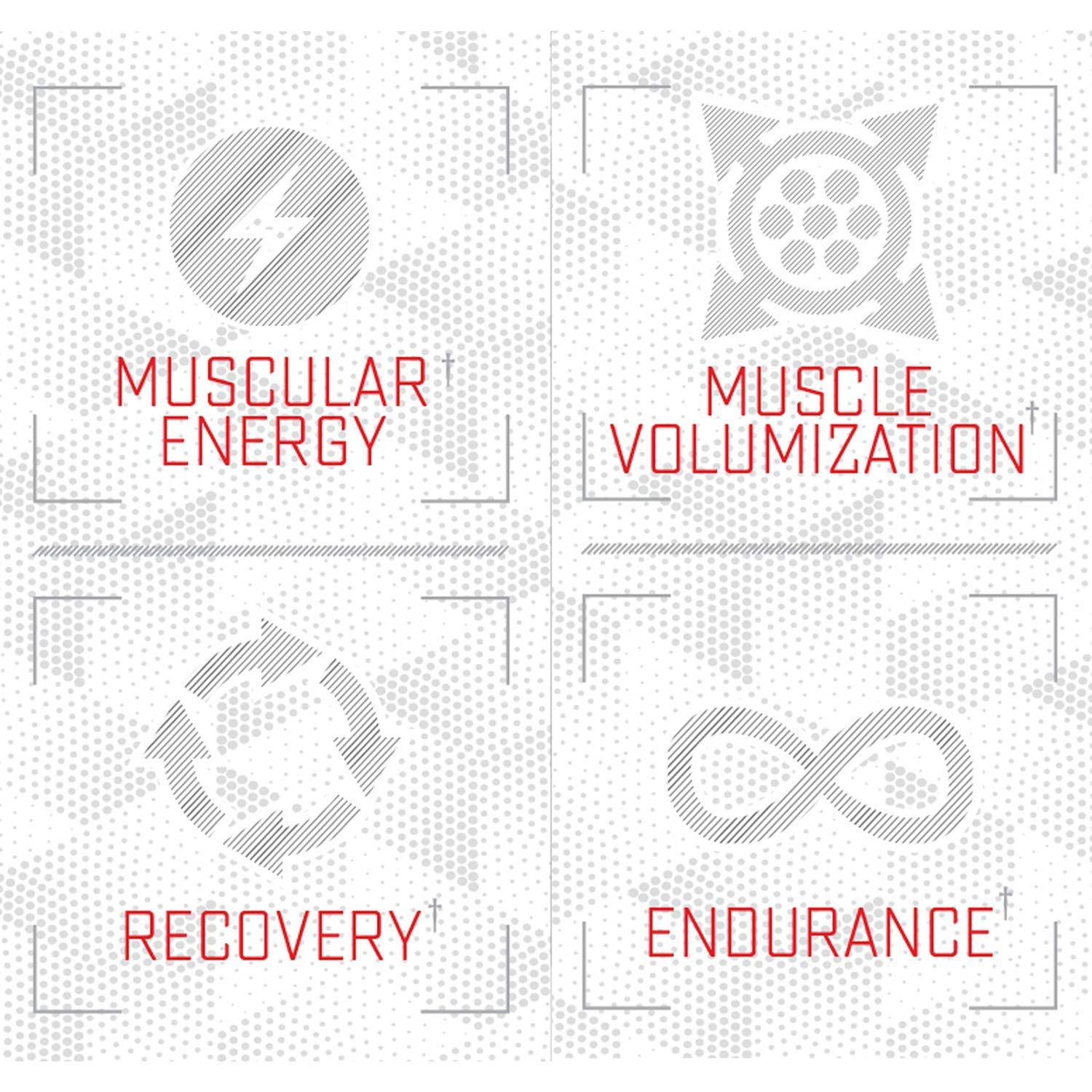 Purus Labs Foundation Series Citrulline Malate Powder | Active Amino Acid L-Citrulline Purus Labs buy supplements canada