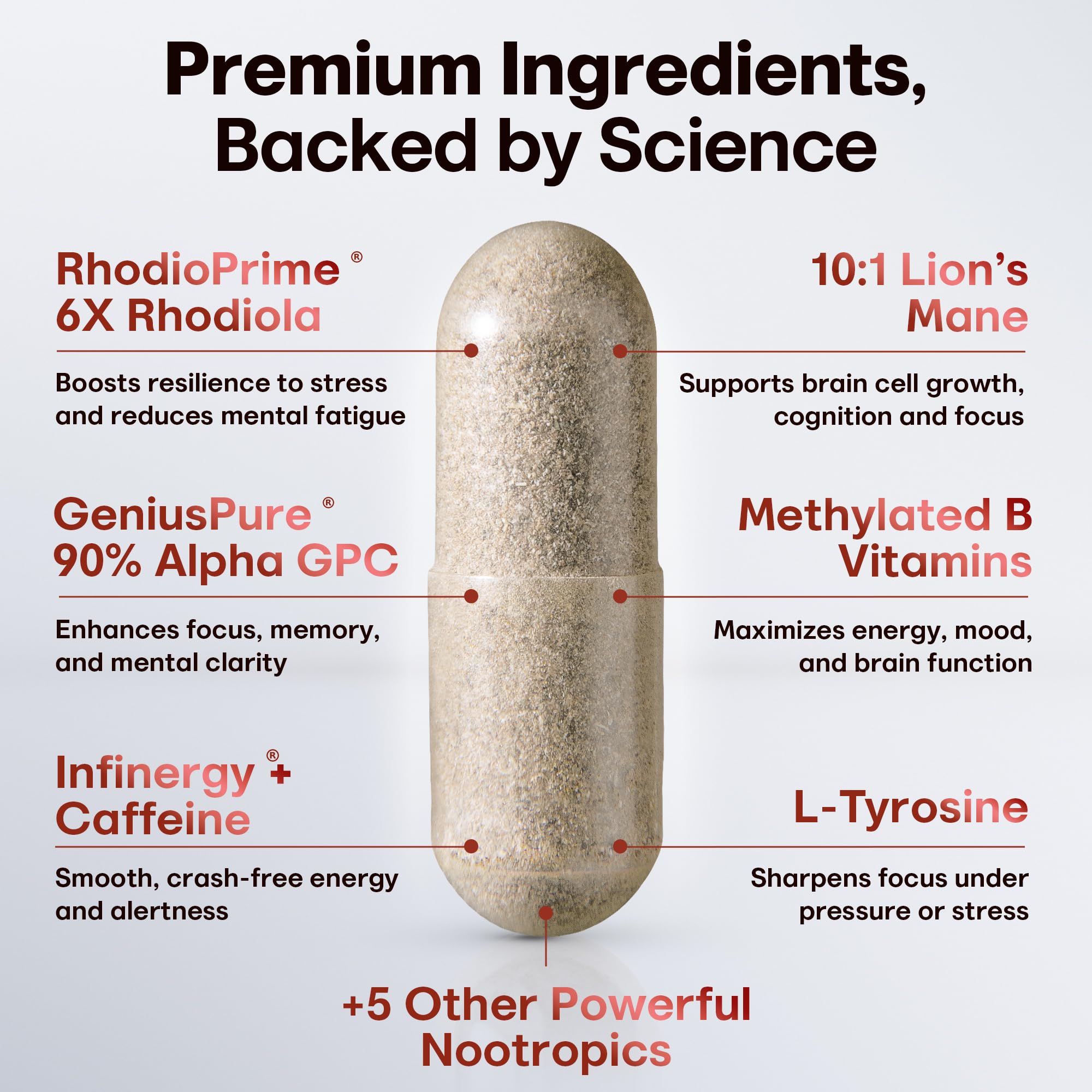 Nootropic Strongest Focus Supplement - Clinically Backed Ingredients Made in USA - Scientifically Backed Doses - Supplement for Brain Fog - AlphaGPC, Lions Mane, Rhodiola and More 10:1 90 Capsules CRTX Nutrition buy supplements canada
