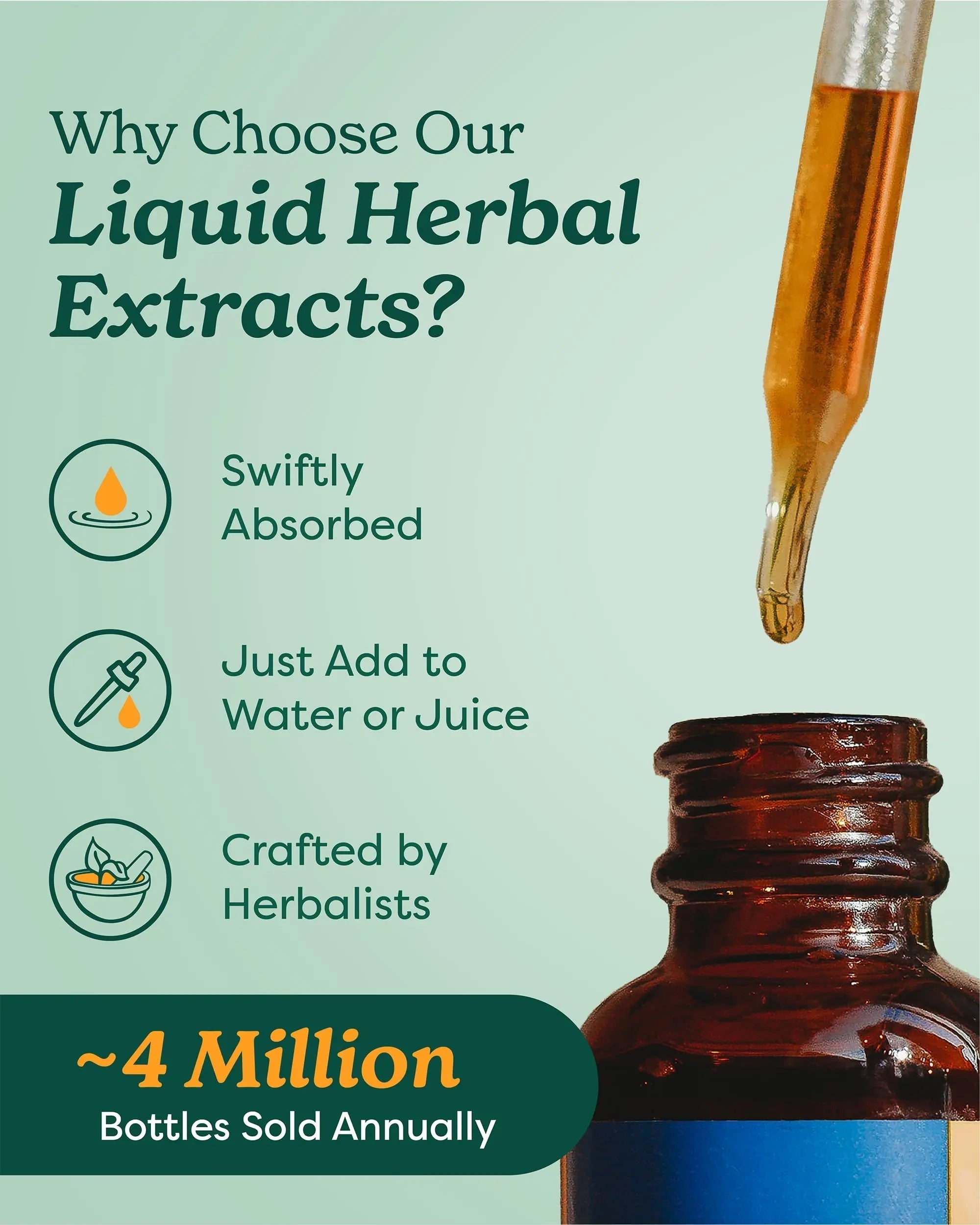 Herb Pharm Chanca Piedra Liquid Extract for Urinary System Support, 1 Fl Oz Herb Pharm buy supplements canada