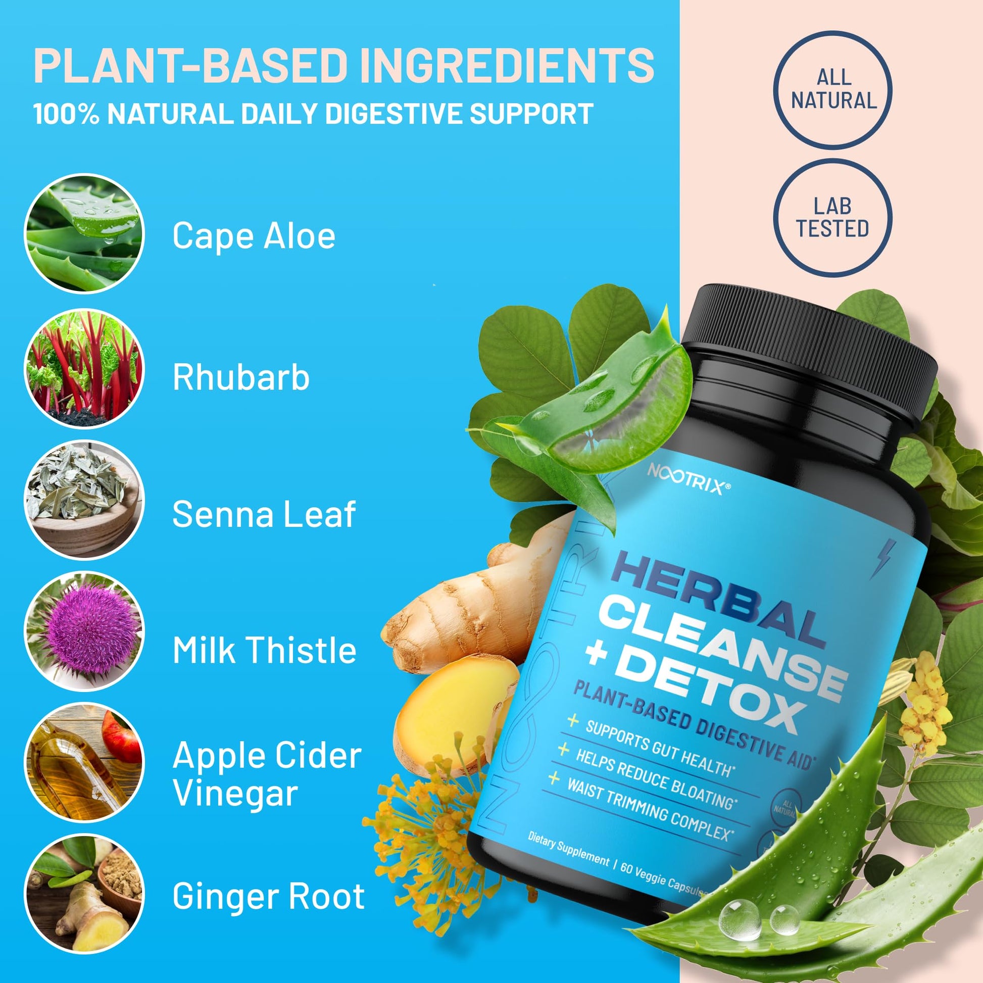 Nootrix Herbal Cleanse + Detox Cleanse for Weight Loss Products | 15 Day Gut Cleanse Nootrix buy supplements canada