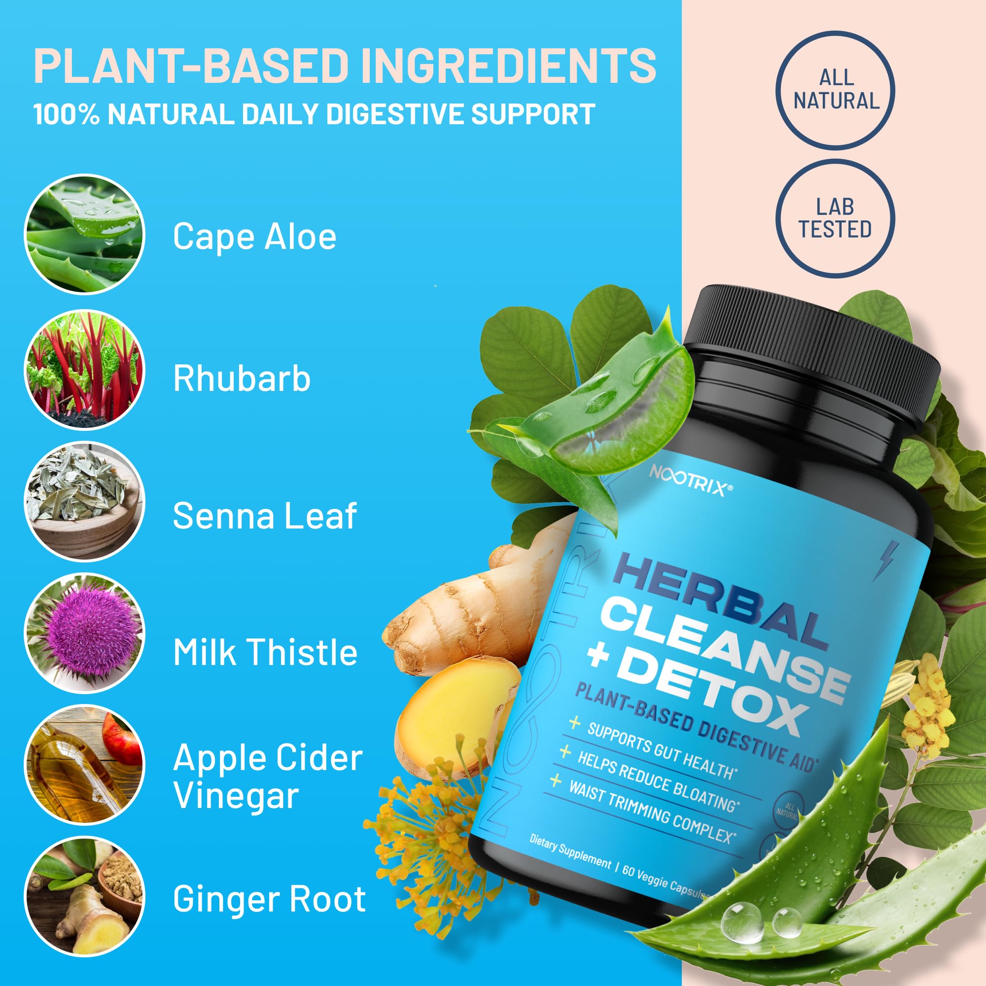 Nootrix Herbal Cleanse + Detox Cleanse for Weight Loss Products | 15 Day Gut Cleanse Nootrix buy supplements canada