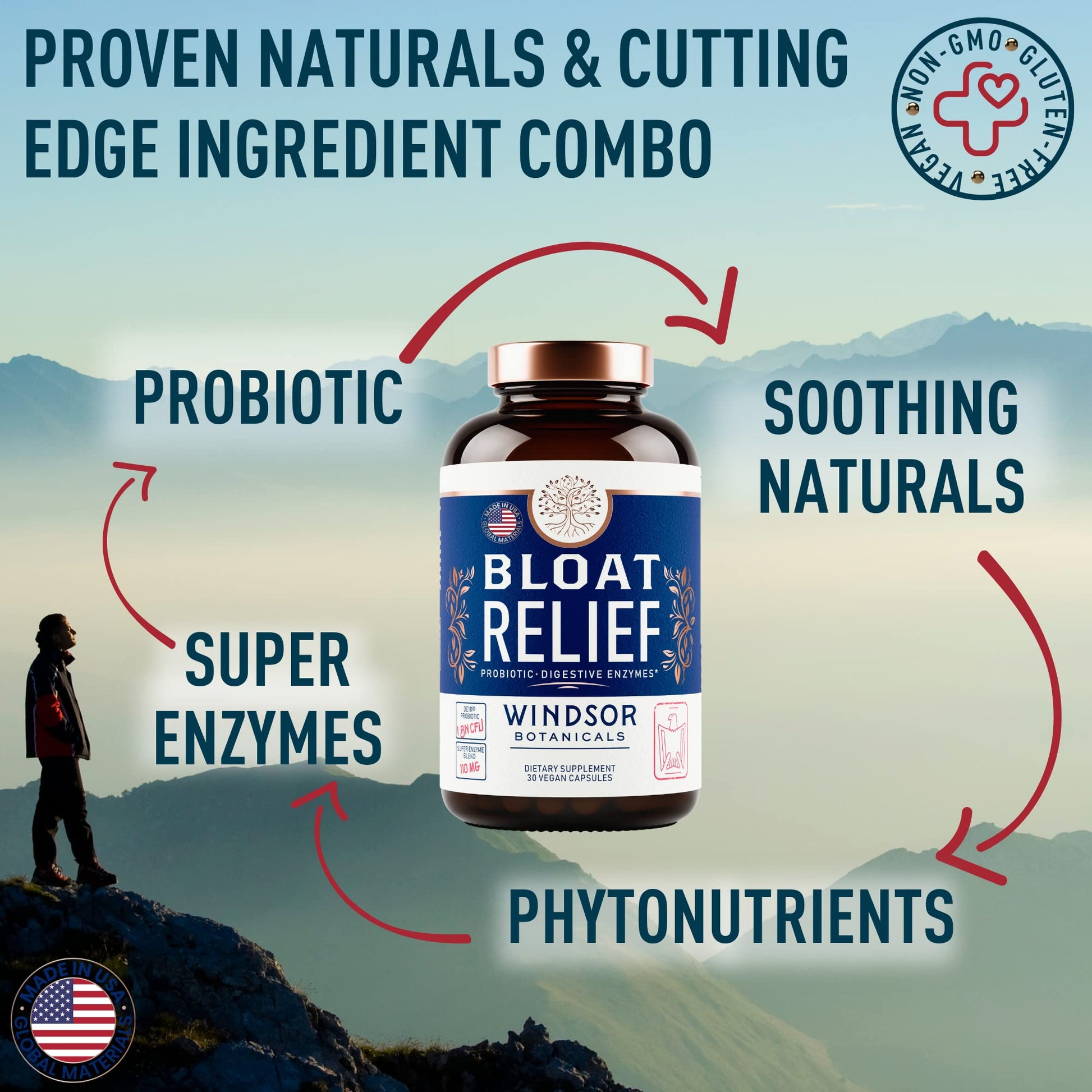 Bloat Relief Probiotic and Digestive Enzymes - Anti Bloating Turmeric, Fennel, Bromelain IBS WINDSOR BOTANICALS buy supplements canada