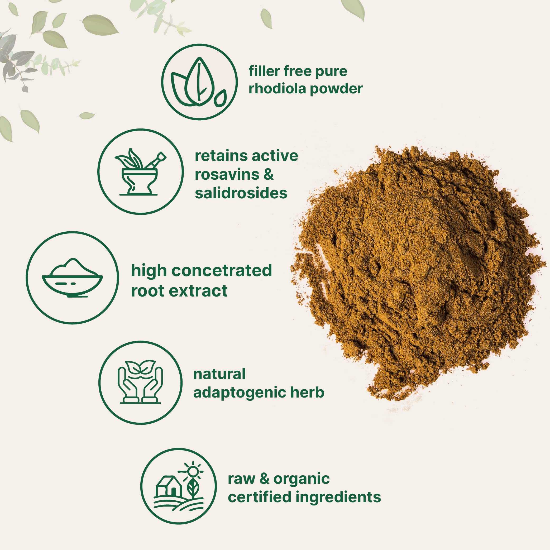 Micro Ingredients Organic Rhodiola Rosea Root Extract, 50g Powder | Adaptogenic Herb Micro Ingredients buy supplements canada