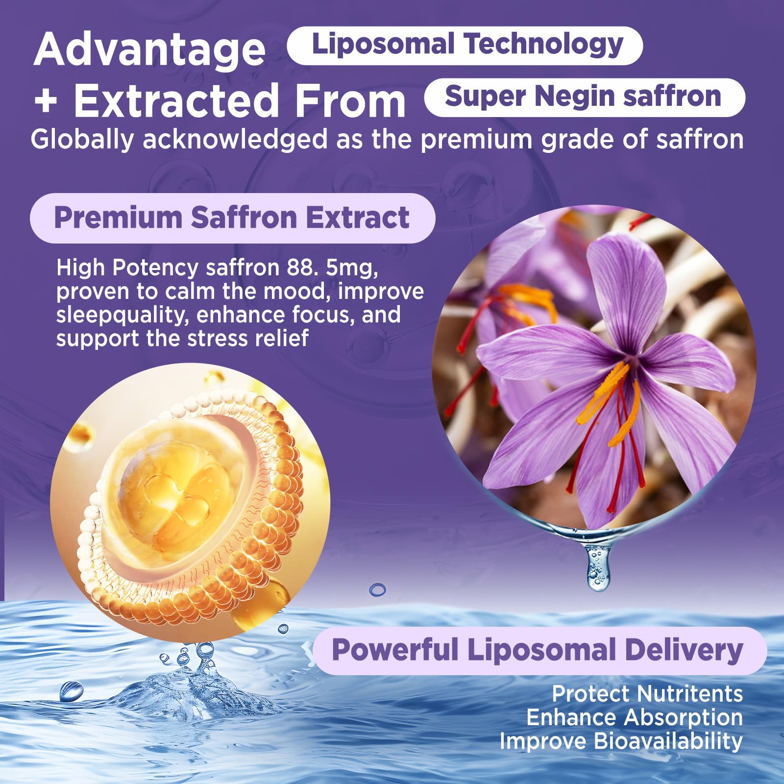 HOLLEGEND Liposomal Saffron Drops for Kids & Adults, Organic Saffron Supplement w/Magnesium, L-Theanine and Vitamins for Stress, Focus, Vision and Energy Support, Vegan, Natural Lemon Flavor, 2 FL OZ HOLLEGEND buy supplements canada
