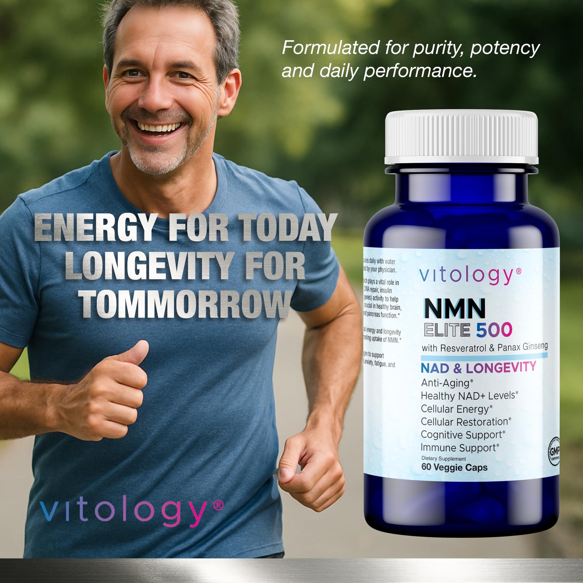 Vitology NMN Elite 500 – NMN 500mg, Resveratrol 200mg, Panax Ginseng 300mg – NAD+ Cellular Energy & Longevity Support Supplement – Focus, Vitality & Anti-Aging Formula – Non-GMO, Vegan Capsules Vitology buy supplements canada