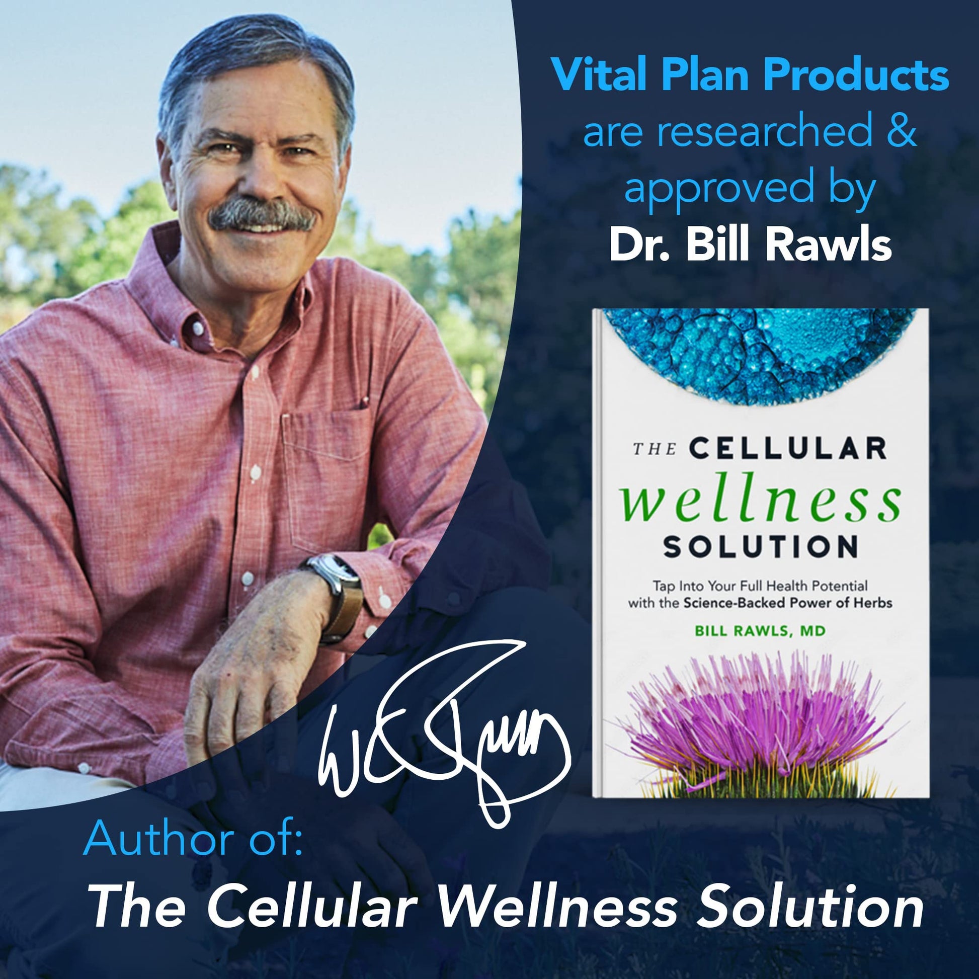 Vital Plan Gut Balance Supplement by Dr. Bill Rawls - Advanced Digestive Health Support Formula w/Clinical-Grade Slippery Elm Bark, Berberine & Dandelion Extract for Women & Men (180 Capsules) Vital Plan buy supplements canada