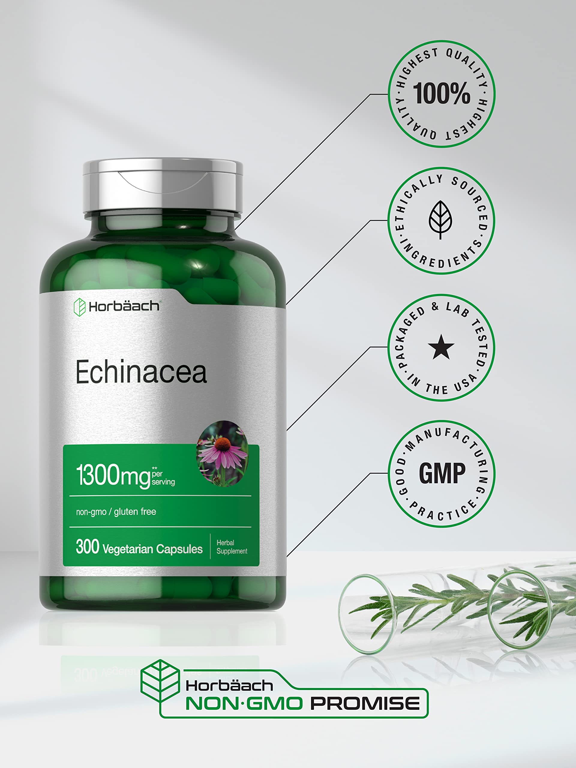 Horbäach Echinacea Extract Capsules | 300 Count | Vegan, Non-GMO, Gluten Free Supplement Horbäach buy supplements canada
