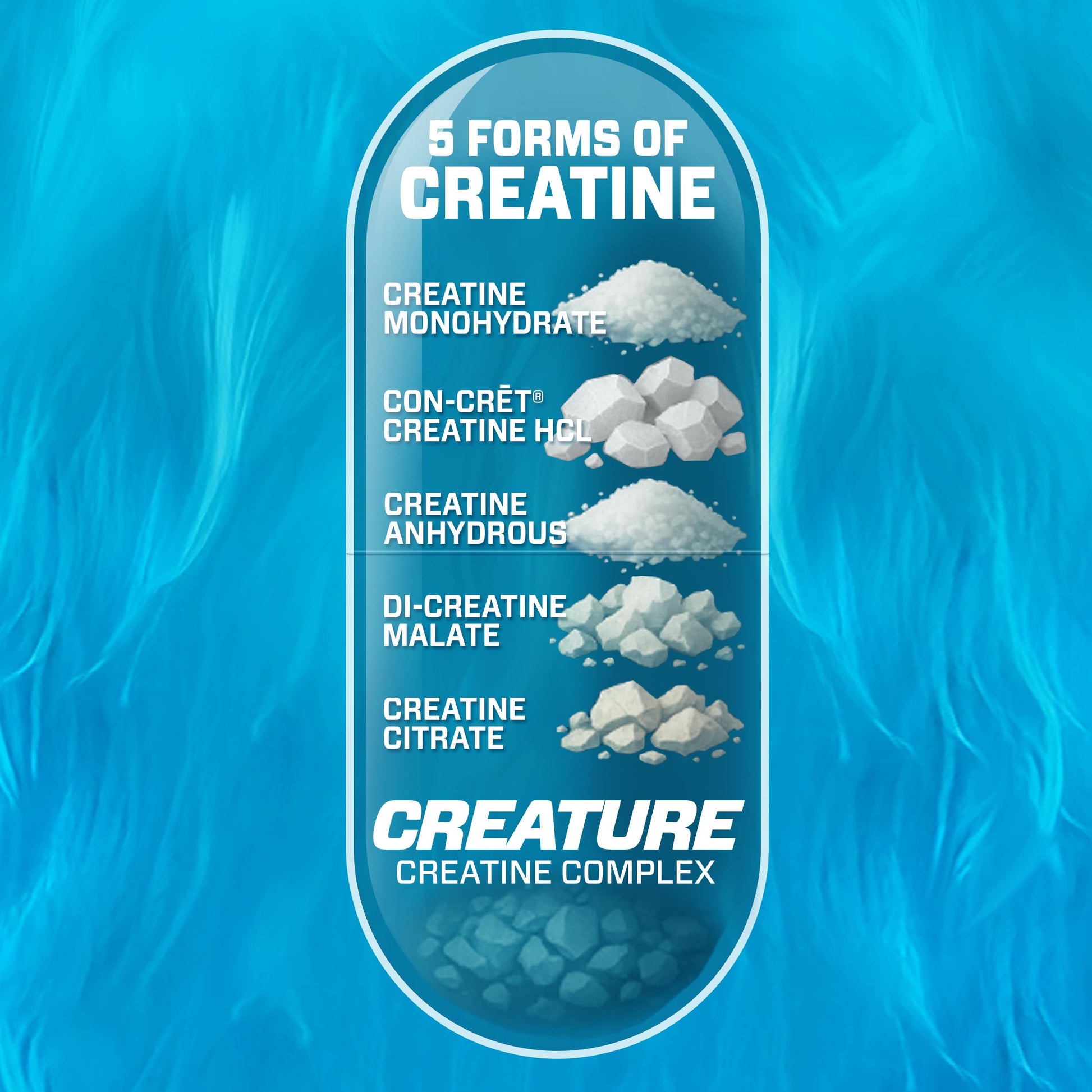 CREATURE® Creatine Complex - Creatine Monohydrate Capsules with 5 Types of Creatine Including Con-Crēt® Creatine HCL, Promotes Muscle, Strength, Endurance, Brain Health, 180 Veggie Caps, 60 Servings CREATURE buy supplements canada