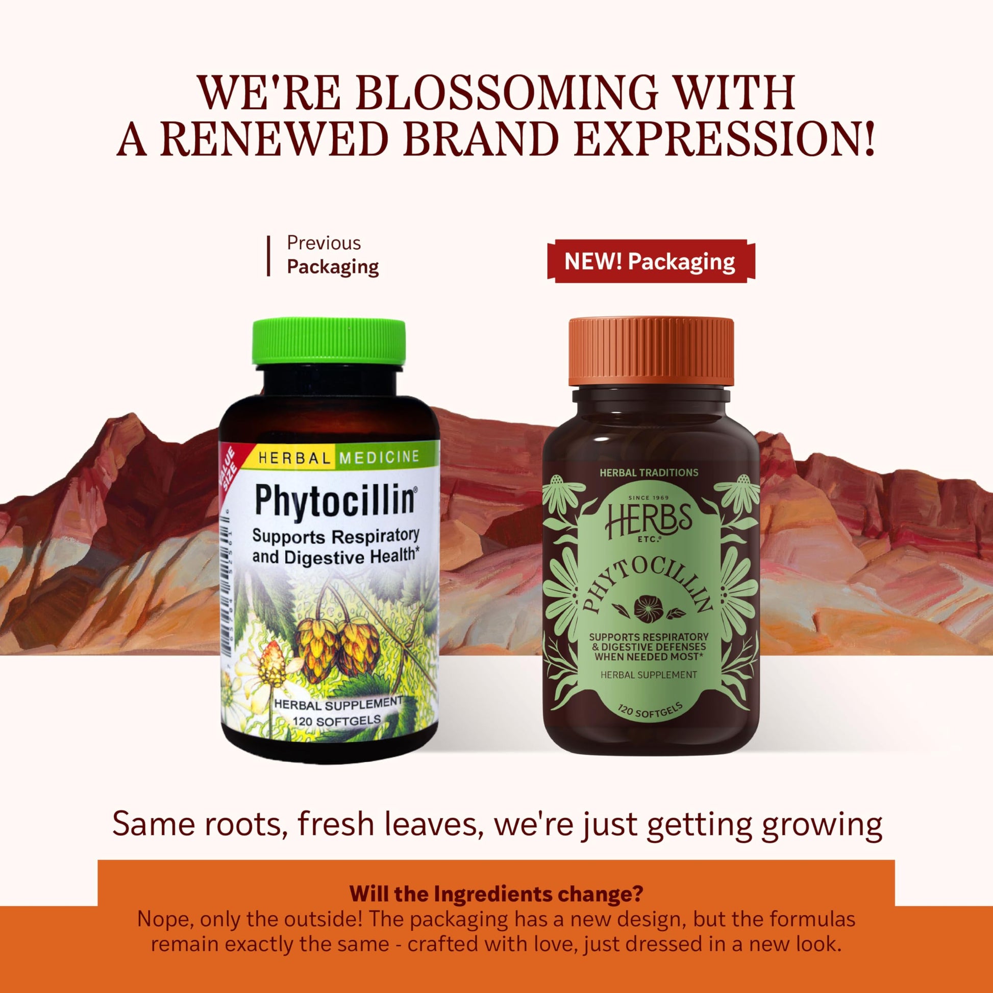 Herbs Etc. Phytocillin - Respiratory & Digestive Health Support Supplement - Herbal Formula to Support Digestion - Support Healthy Breathing - 120 Softgels (120 Servings) Herbs Etc. buy supplements canada