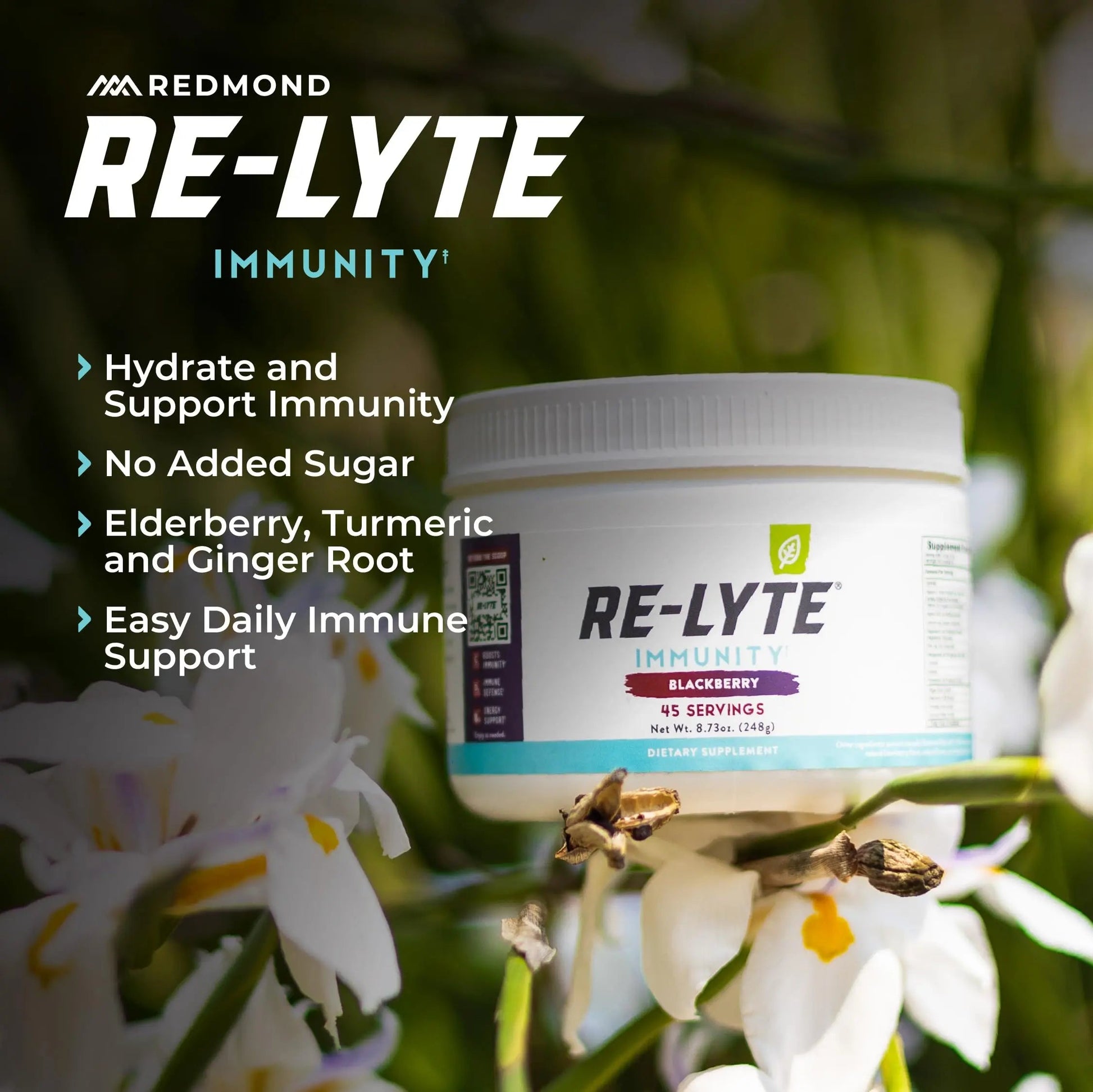 REDMOND Re-Lyte Immunity, Multivitamin Supplement Mix (BlackBerry) REDMOND buy supplements canada