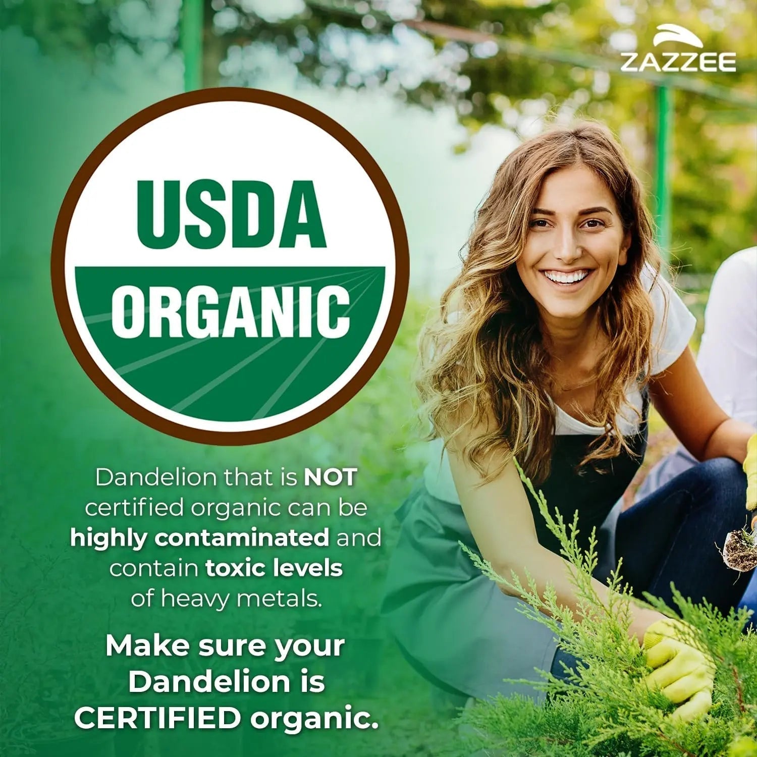 Zazzee Urinary Tract Cleanse & Detox Bundle | USDA Organic Dandelion Root Extract Capsules Plus D-Mannose 1000mg Capsules for UT & Bladder Cleansing Zazzee buy supplements canada