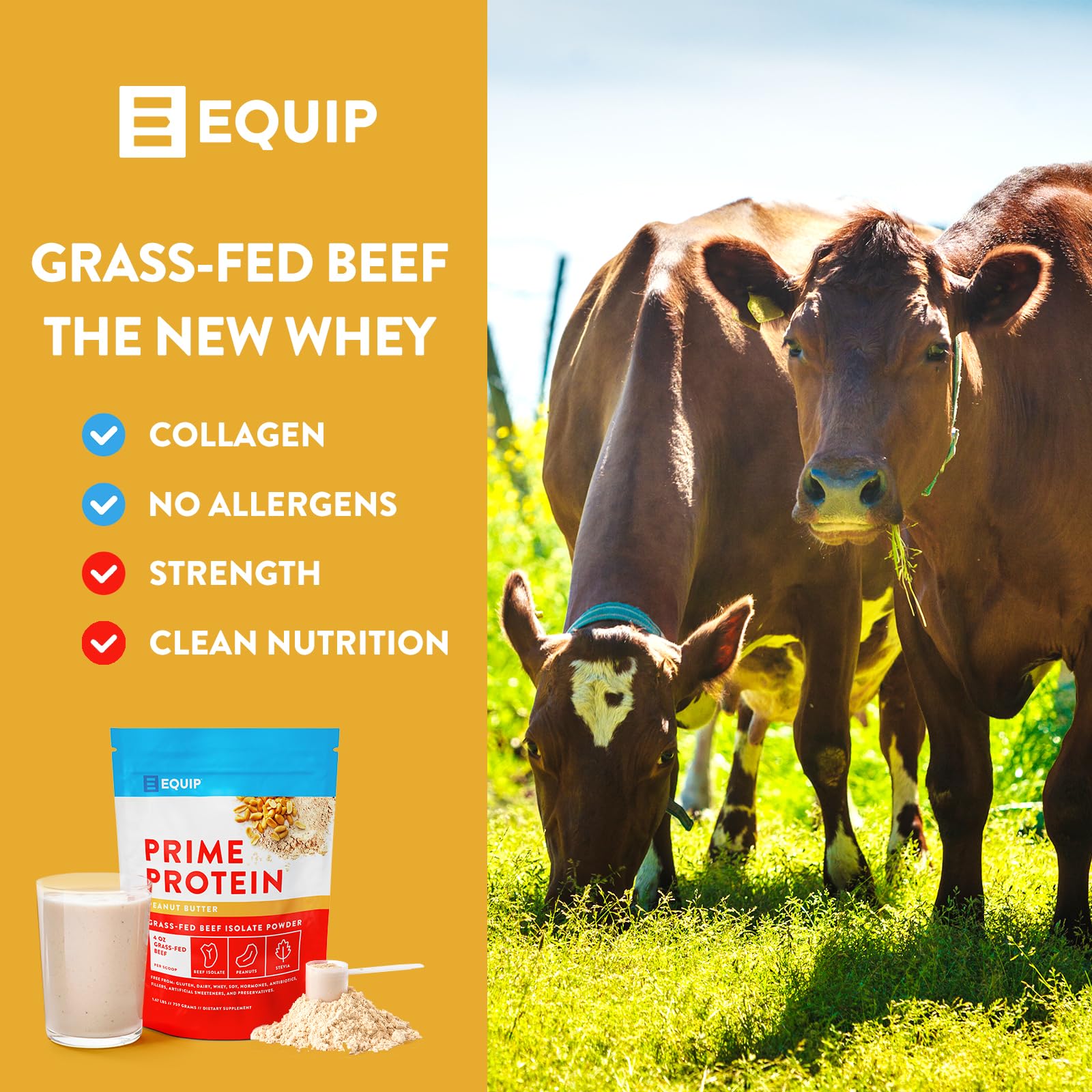 Equip Foods Prime Protein - Grass Fed Beef Protein Powder Isolate - Paleo and Keto Friendly Equip buy supplements canada
