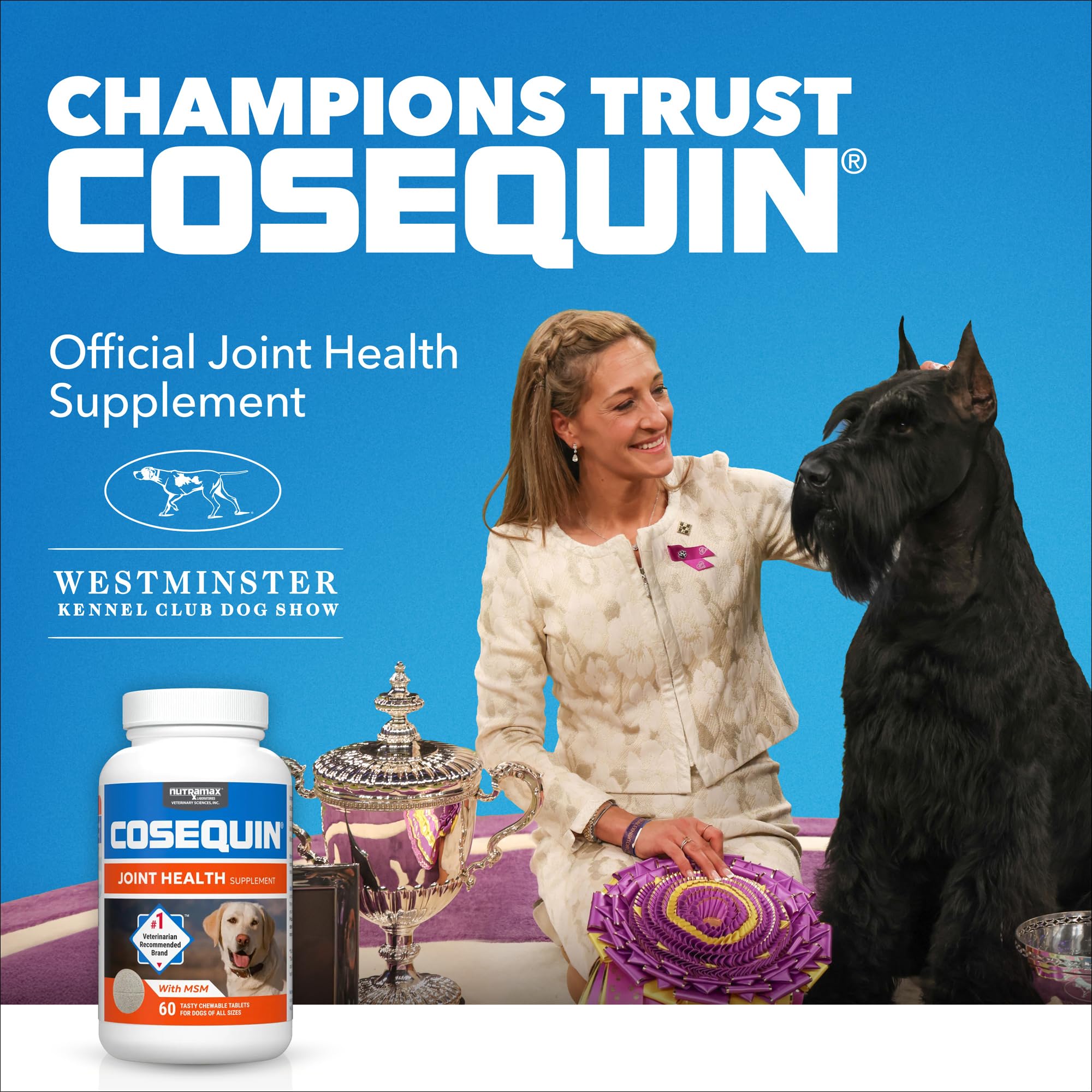 Nutramax Laboratories Cosequin Maximum Strength Joint Health Supplement for Dogs - With Glucosamine, Chondroitin, and MSM, 2 Pack, 264 Total Chewable Tablets Nutramax Laboratories buy supplements canada