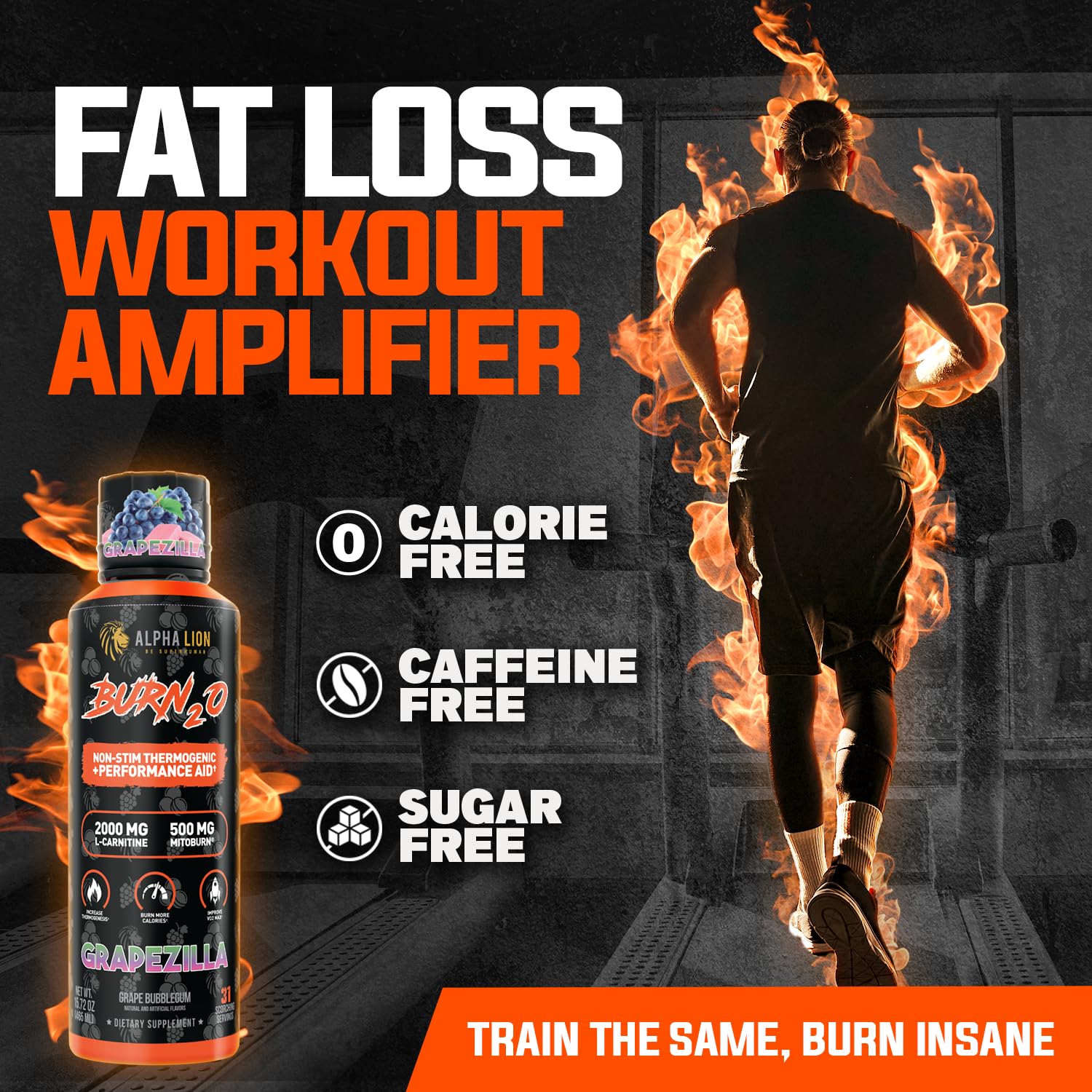 ALPHA LION Burn2O L-Carnitine Liquid 2000mg – Stim Free Super Thermogenic Fat Burner with MitoBurn® & CaloriBurn GP®, Metabolism Booster, Zero Calorie ALPHA LION buy supplements canada