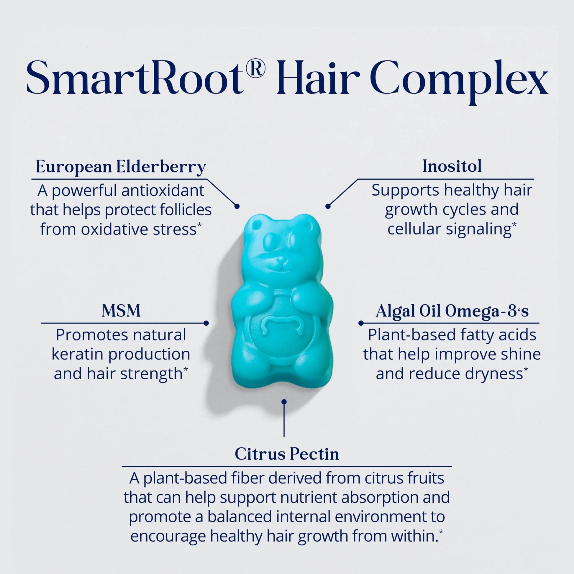 SugarBearPro Hair Vitamin Gummy 3 Month Supply Extra Strength Biotin 6000mcg, Growth for Men & Women, Vegan Vitamin B12 SugarBearHair buy supplements canada