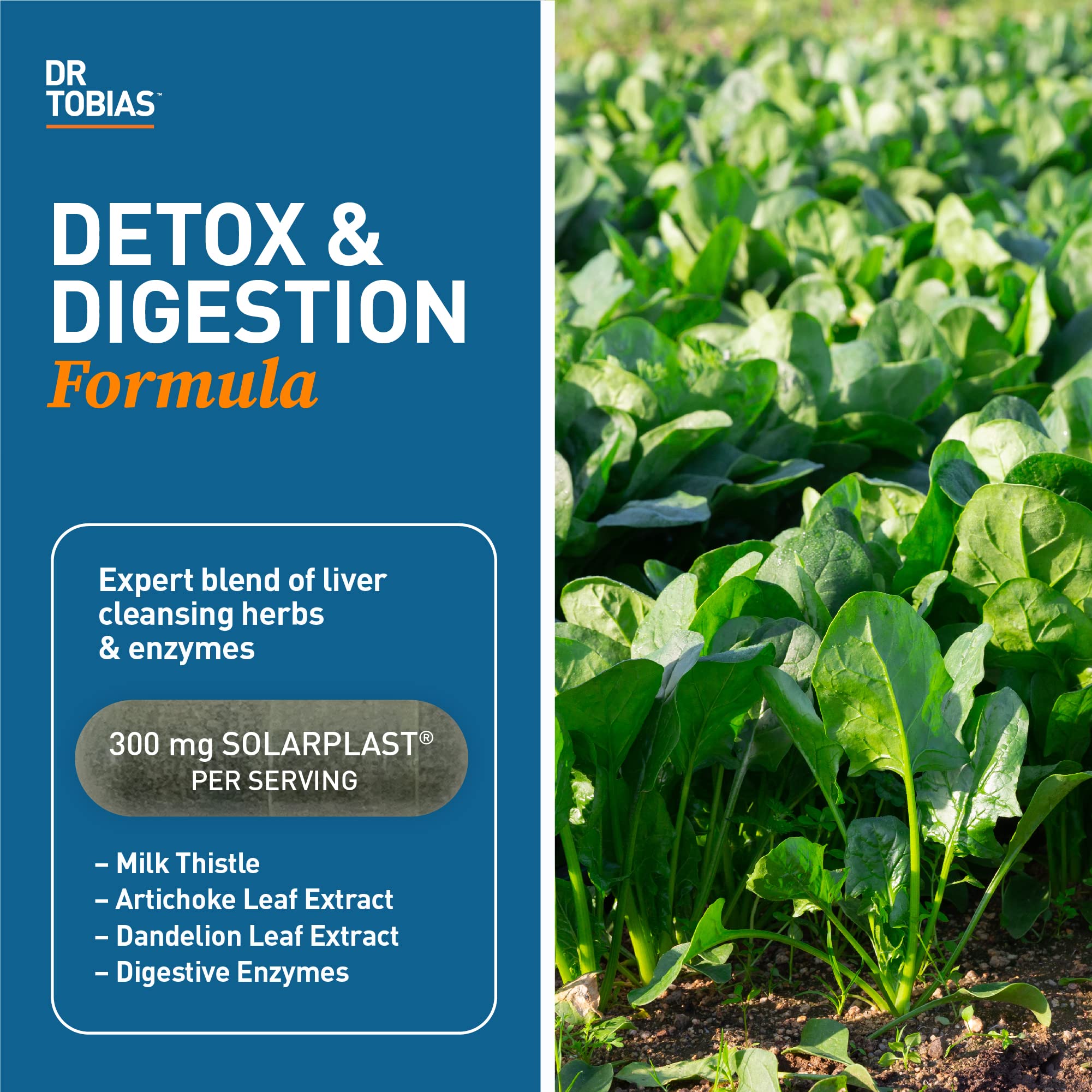 Dr. Tobias Liver 21 Day Cleanse, Herbal Liver Detox Cleanse with Solarplast, Artichoke Dr. Tobias buy supplements canada